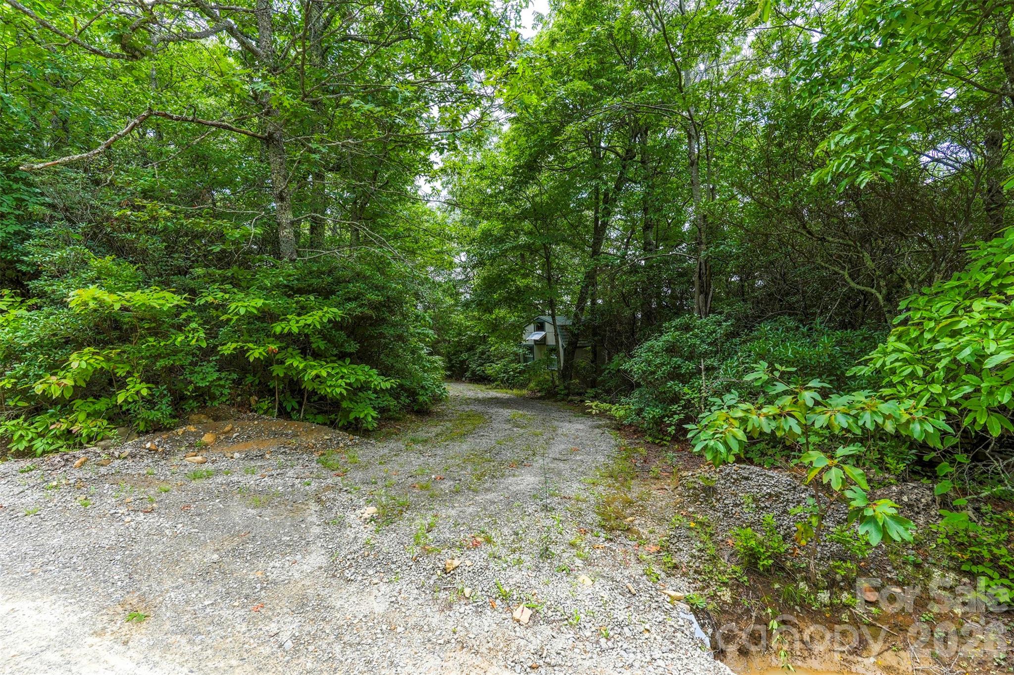 NA Pine Ridge Road 60