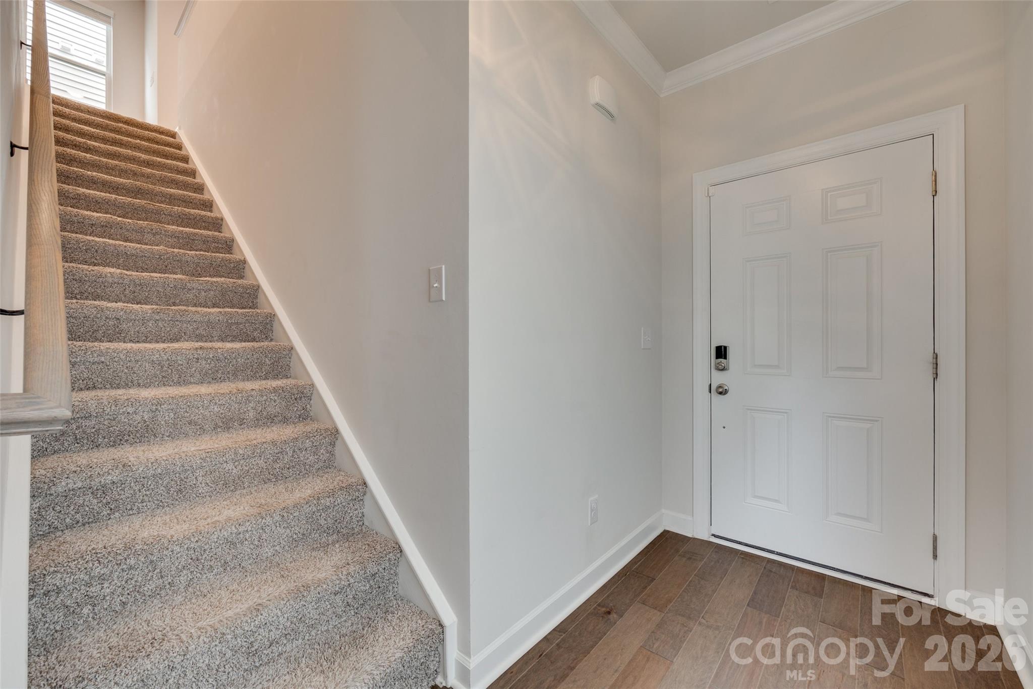 534 Palmarosa Street