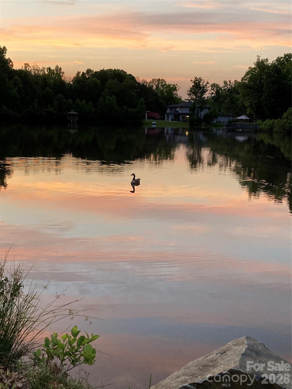 Oldstone Forest - Residential