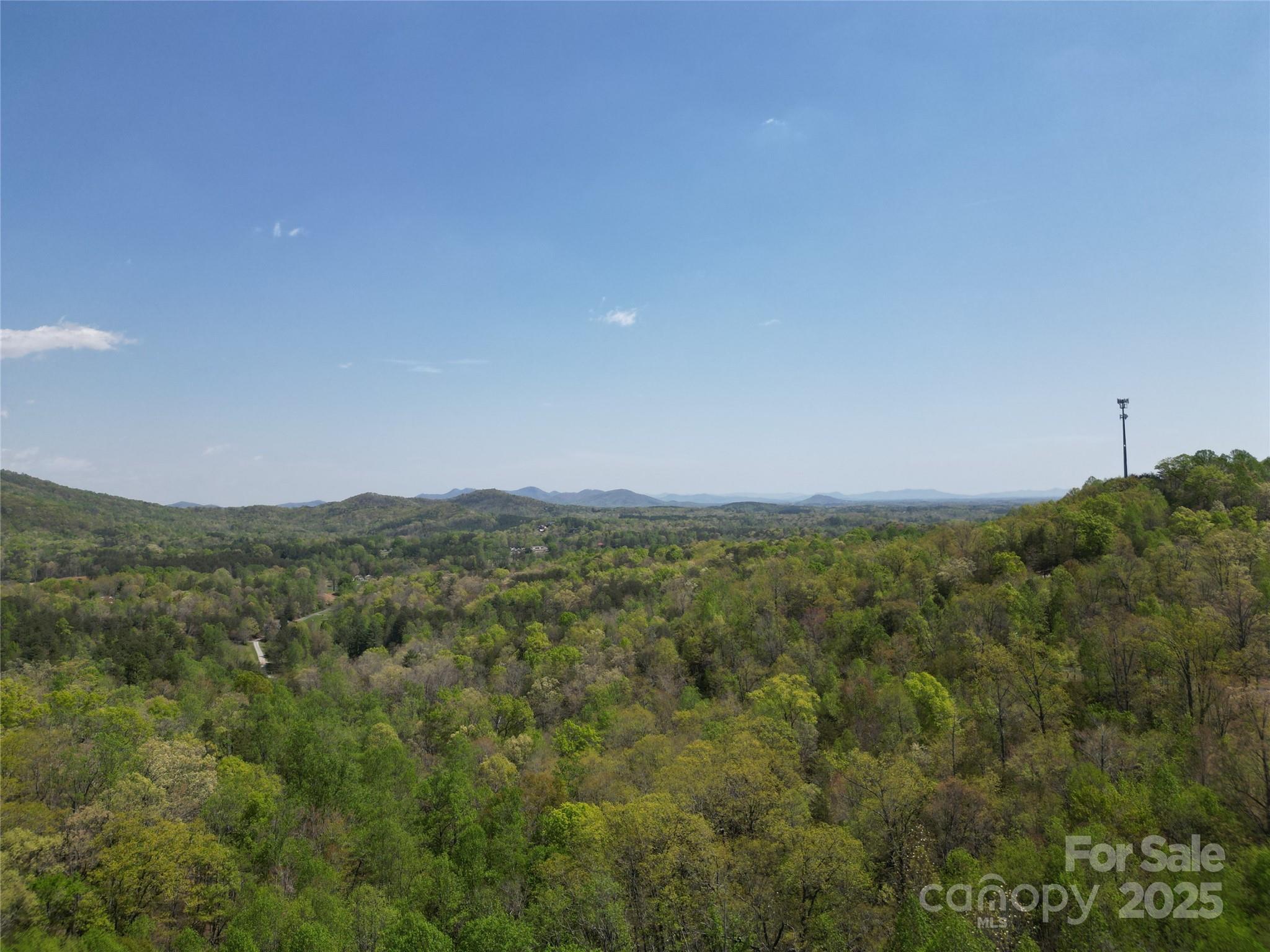 Rumbling Bald on Lake Lure - Land