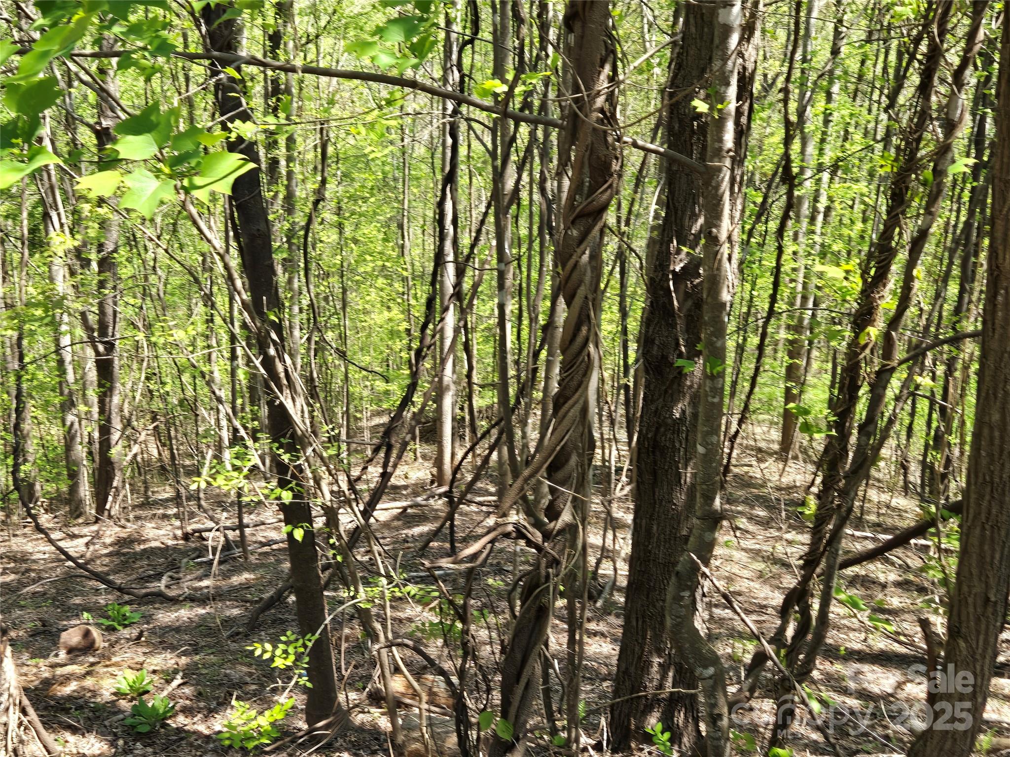 Lot 33 Turkey Fall Lane