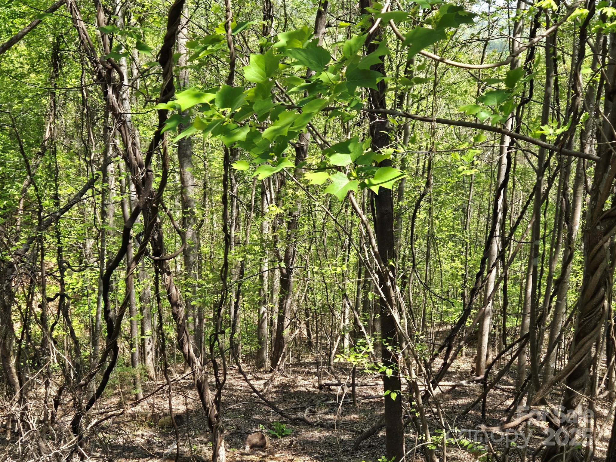 Lot 33 Turkey Fall Lane