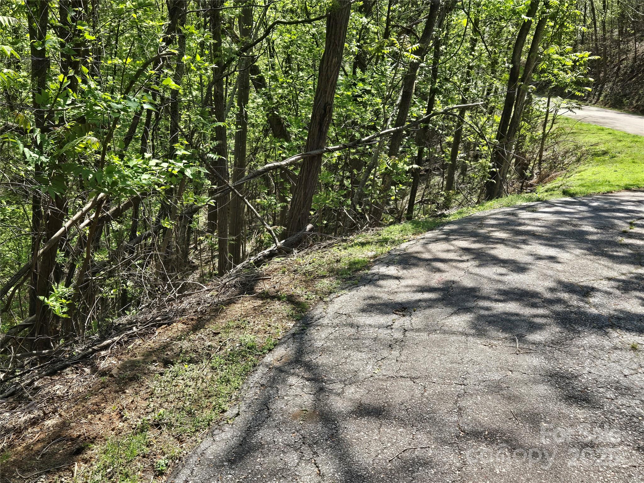 Rumbling Bald on Lake Lure - Land