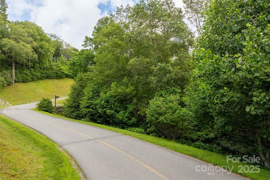 Discover the perfect canvas for your mountain dream home on Lot 217 in the Firethorn community of Blowing Rock. This exceptional lot offers a gently sloping, build-friendly site nestled among mature hardwoods, potential for long-range views depending on home placement and clearing. This lot provides privacy while being just minutes from downtown Blowing Rock and the Blue Ridge Parkway.

Enjoy access to all of Firethorn’s premier amenities, including a gated entry, trout-stocked stream, private hiking trails, a community clubhouse, and picnic areas. Underground utilities, high-speed internet availability, and paved roads are already in place—offering the perfect blend of natural beauty and modern convenience. Firethorn’s protective covenants and architectural guidelines help preserve both property values and the character of this low-impact, thoughtfully planned development.

Don’t miss your opportunity to build in one of the High Country’s most sought-after luxury communities.
