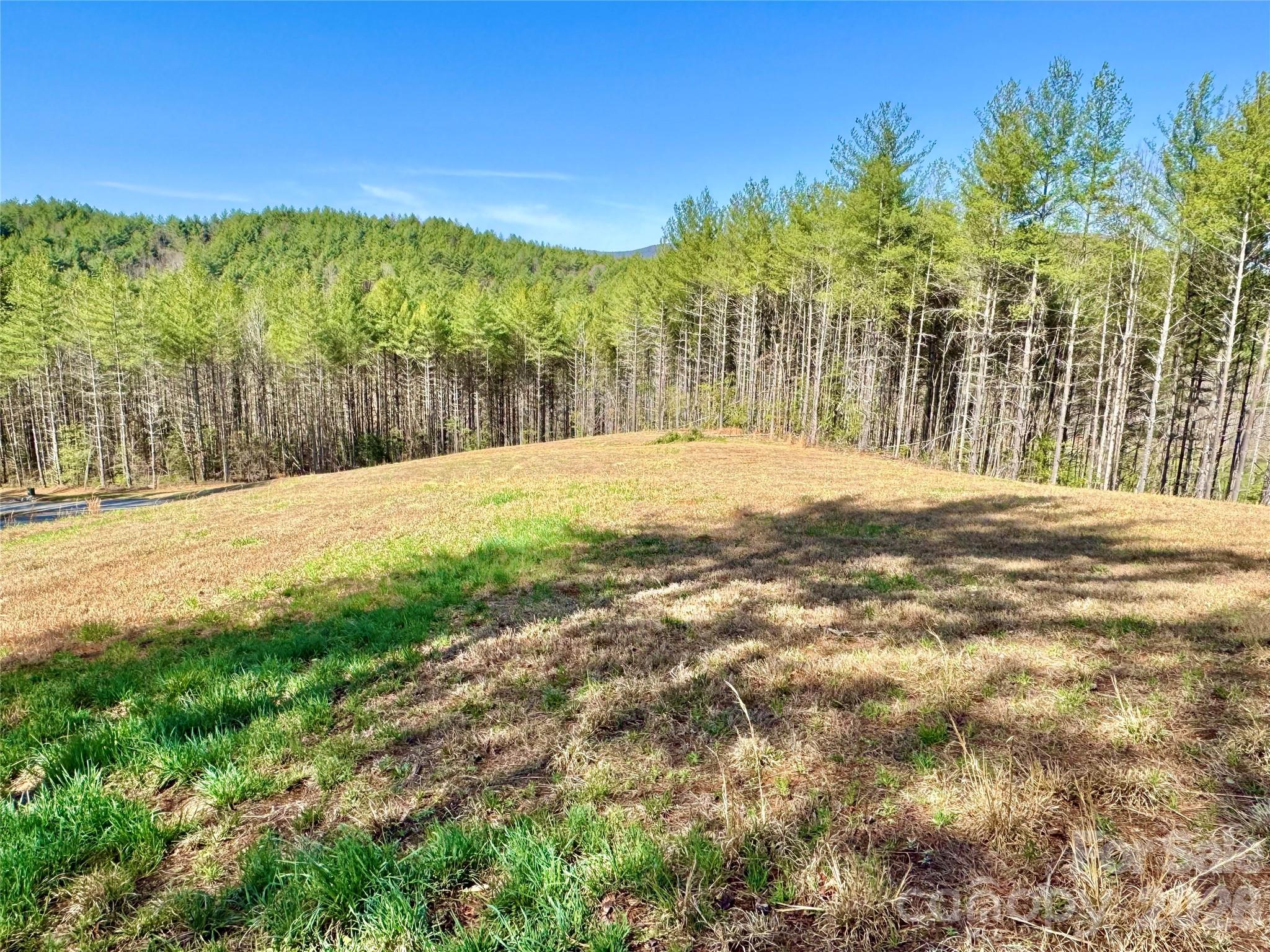 The Coves Mountain River Club - Land