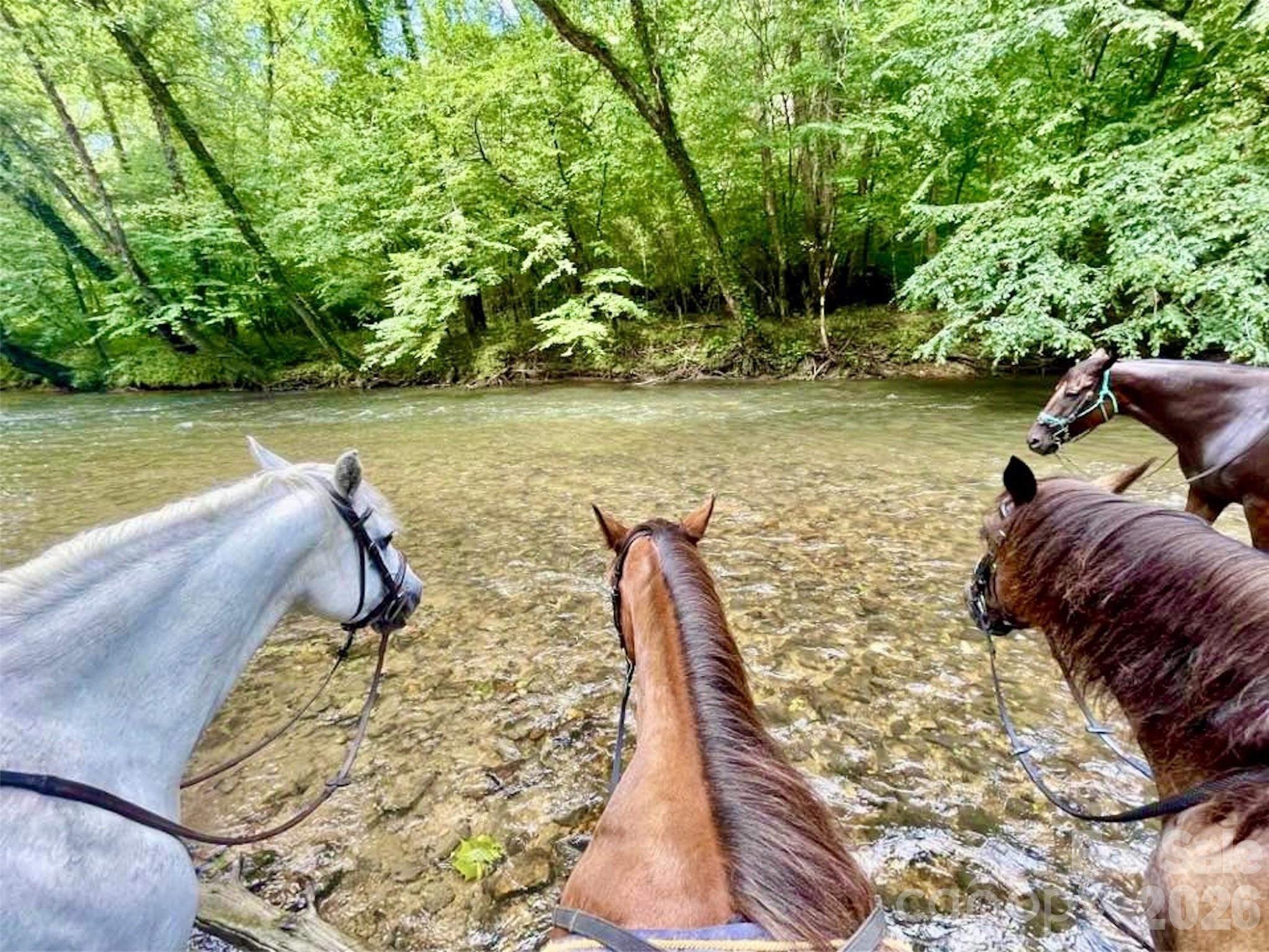 The Coves Mountain River Club - Land