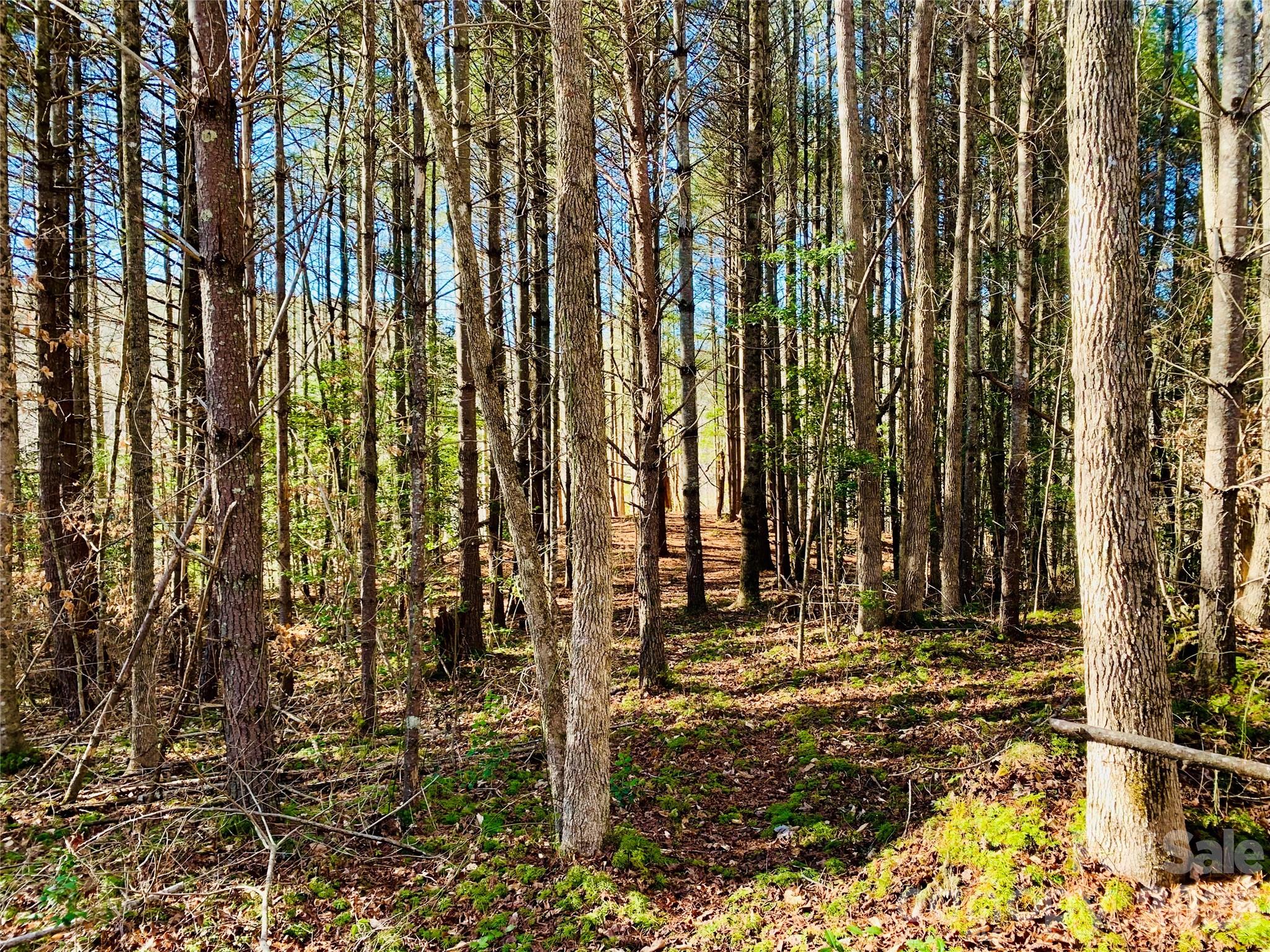 The Coves Mountain River Club - Land