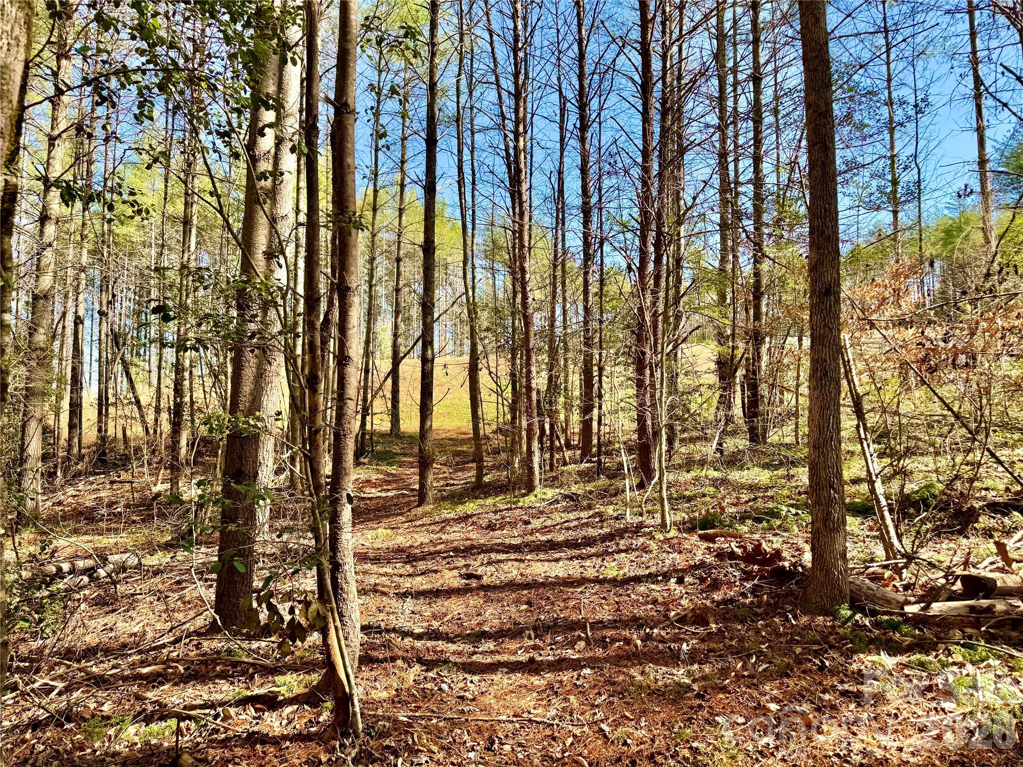 The Coves Mountain River Club - Land