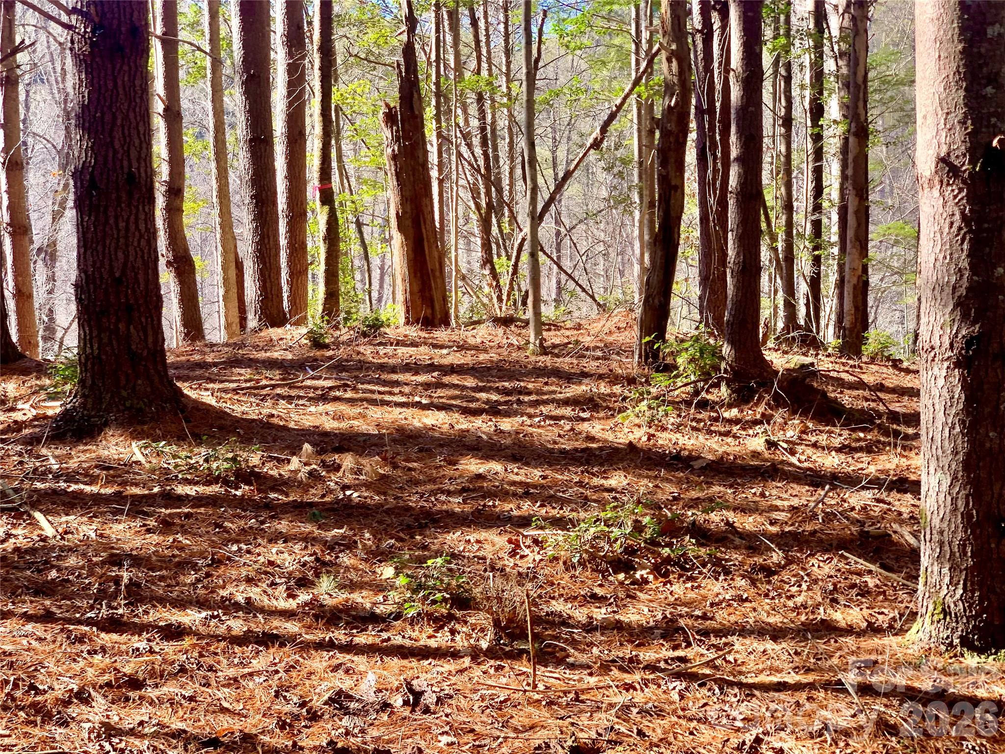 The Coves Mountain River Club - Land