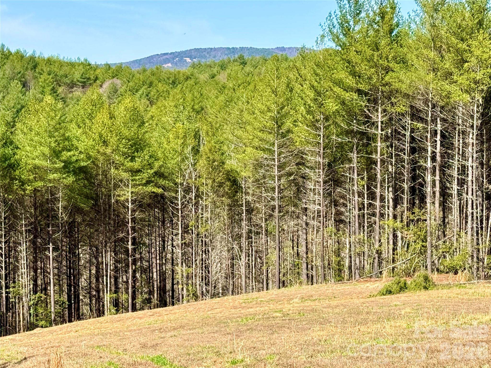 The Coves Mountain River Club - Land