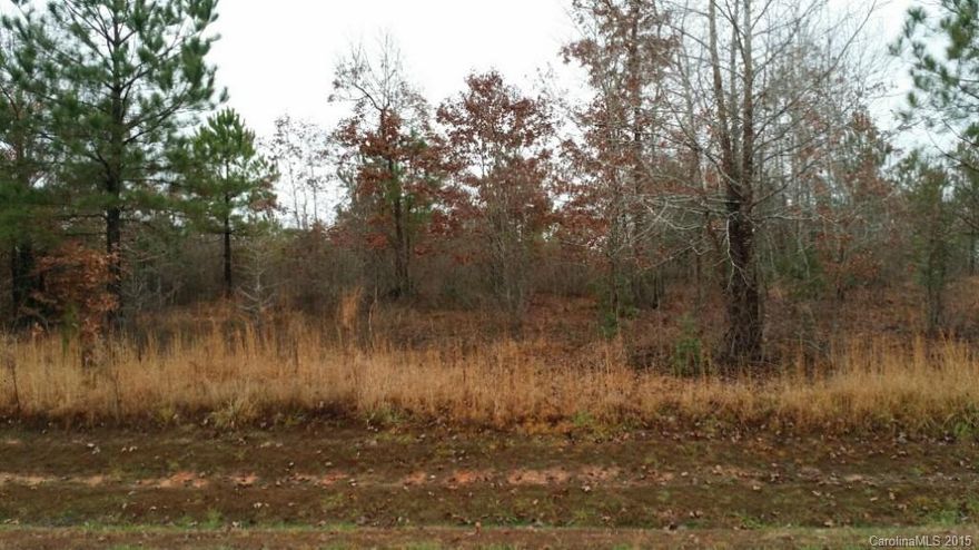 Great Lot in desirable Catawba Shores, Amenities include Pool house, pool, Walking trails and river access