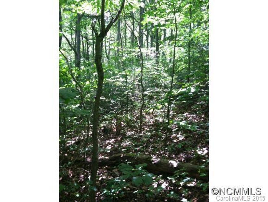 Beaverdam Building lot in lovely Saddle Ridge Development. 2.77 acres with potential long range views. Wooded, gently sloping building site at top of property. Easy access from Top of property.