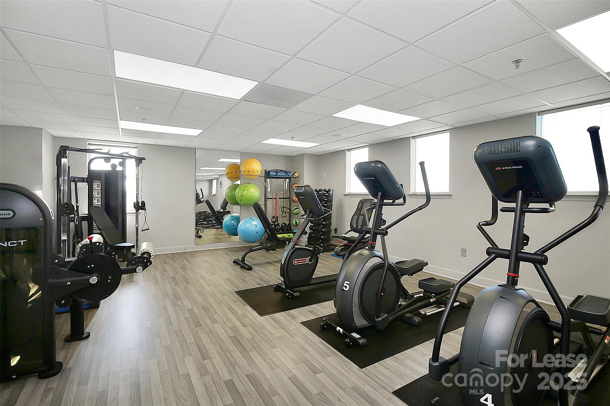 Dilworth - Residential Lease