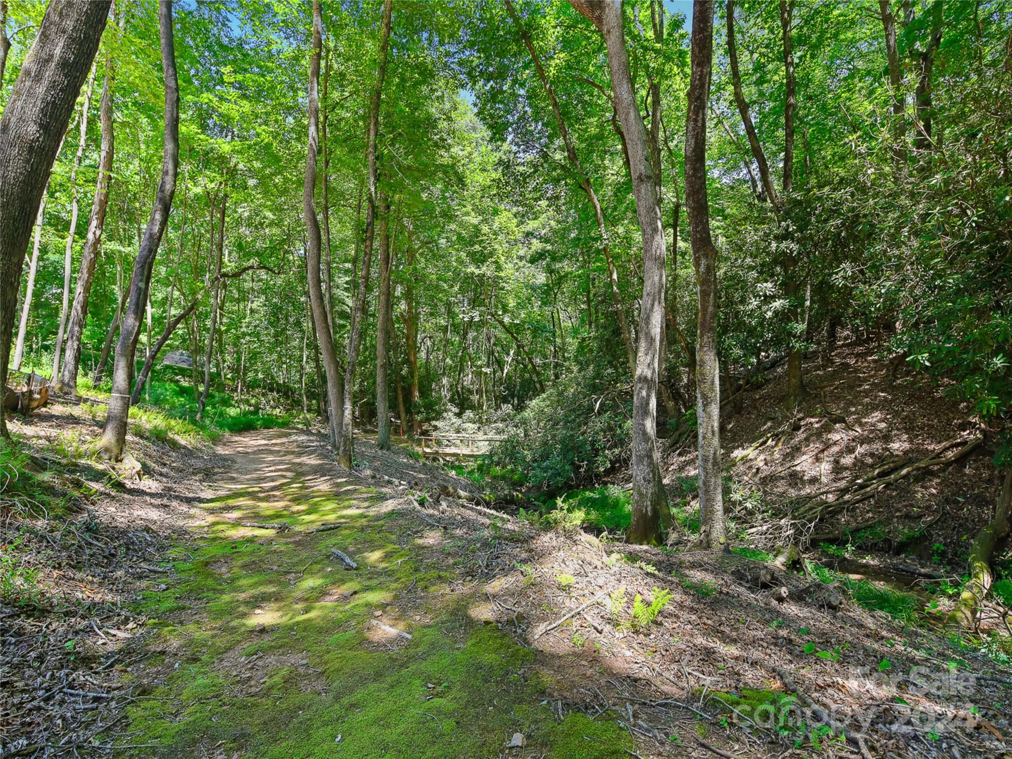 The Cliffs at Walnut Cove - Residential