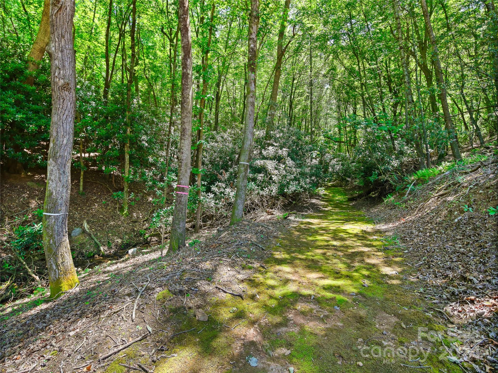 The Cliffs at Walnut Cove - Residential