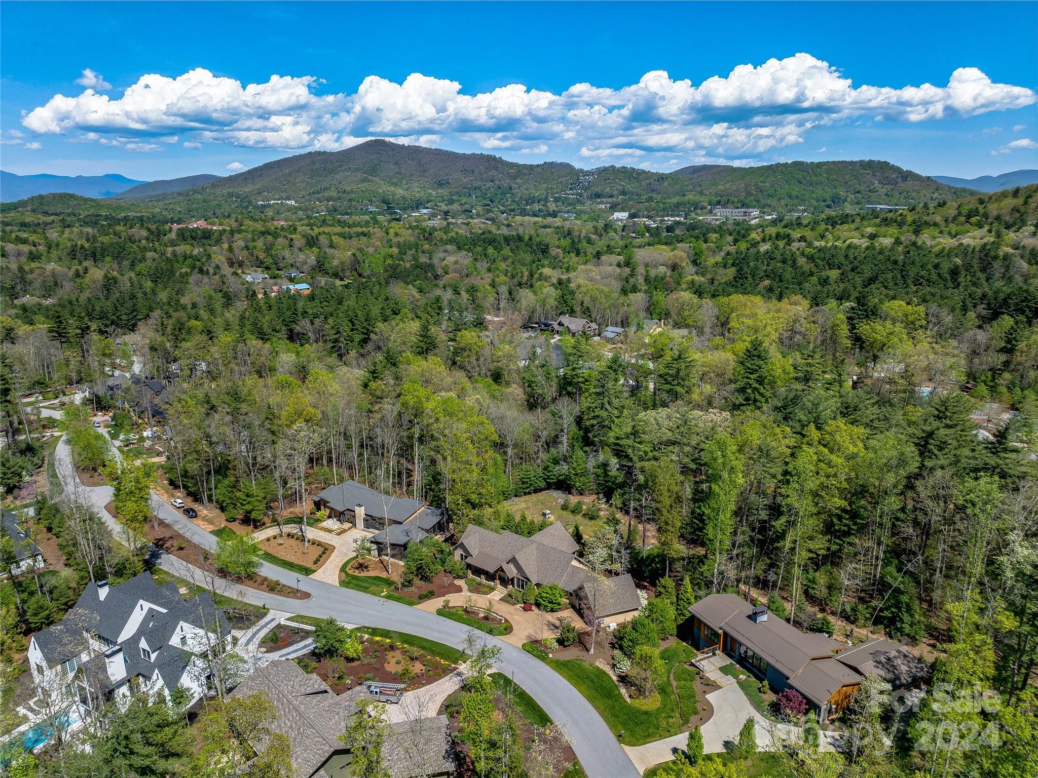 Ramble Biltmore Forest - Residential