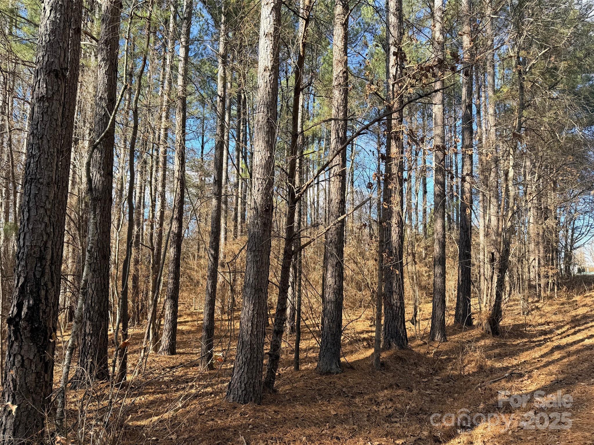 9999 Doggett Grove Road