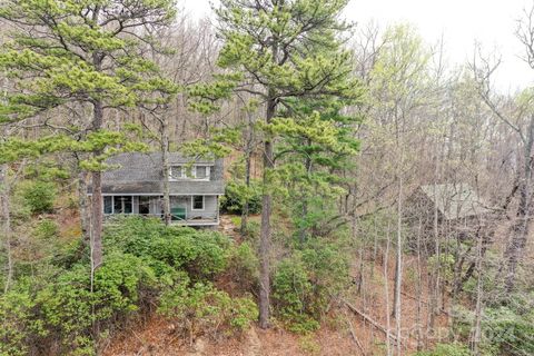40 Tagalong Lane Black Mountain NC 28711