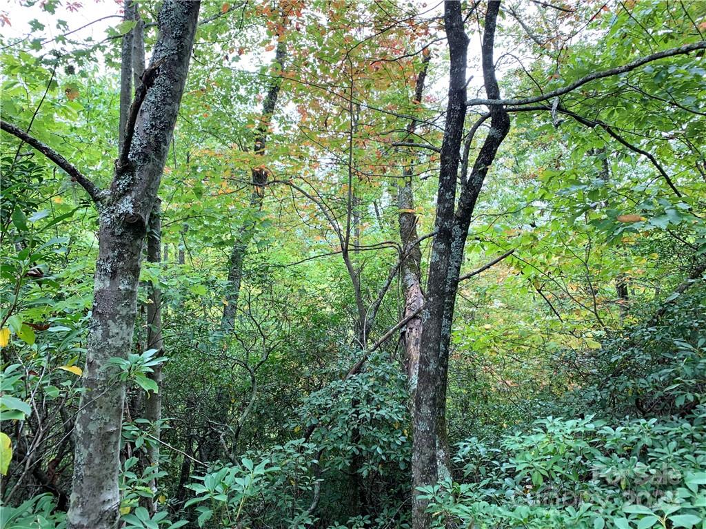 000 Eastatoe Gap Road