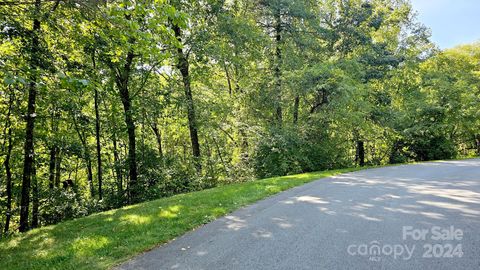 197 Starling Pass Asheville NC 28804