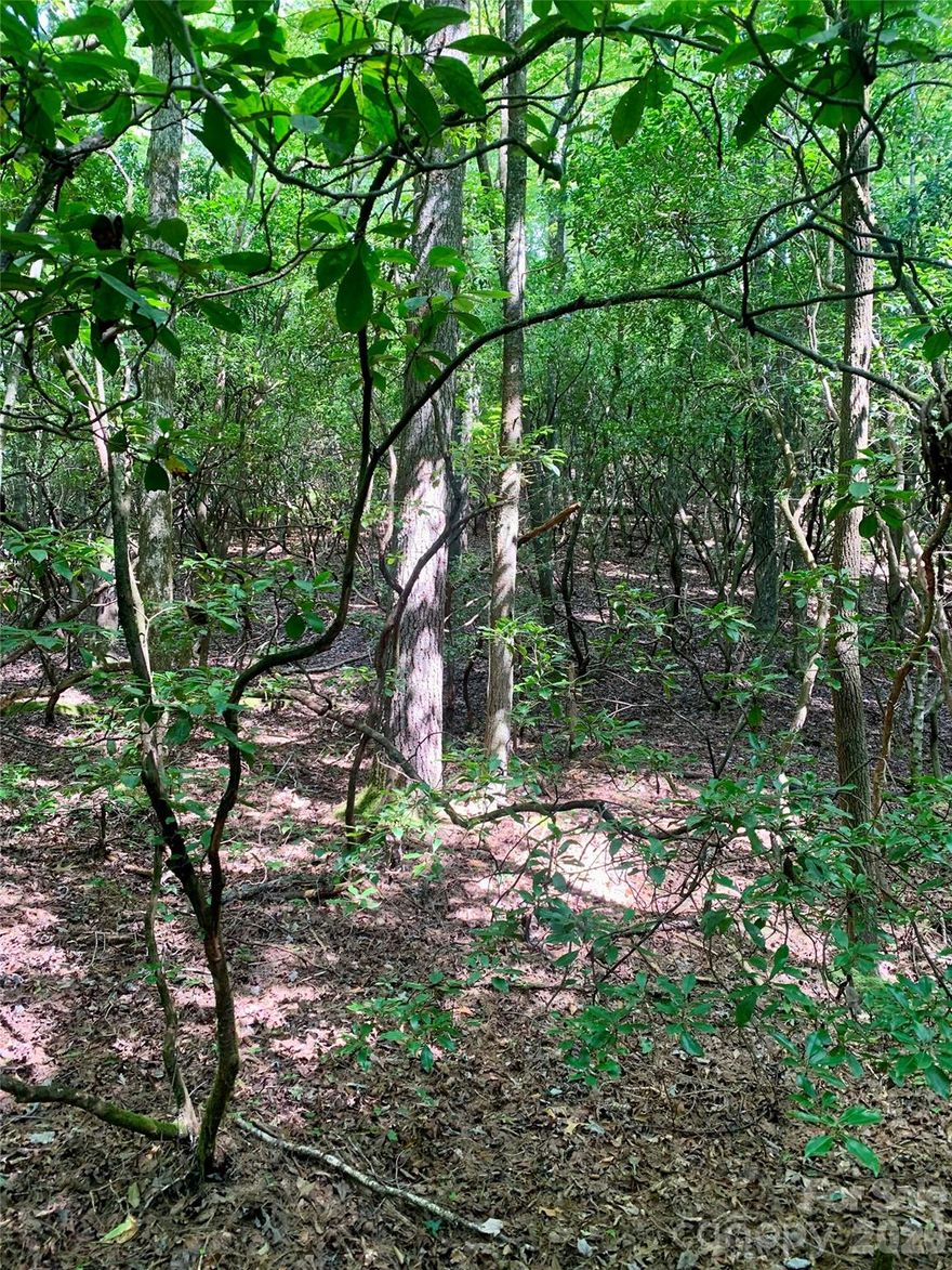 Located on a cul-de-sac, relish in nature's backdrop! This is the perfect location to build your ideal mountain retreat! With low annual dues, it is in the well-maintained Oak Laurel Community, only a few miles from the majestic Gorges State Park (Frozen Creek access). Here, you can delight year-round in more than 7500 acres of temperate rainforest, which includes 26 remote waterfalls! It is approximately 15 miles away from all the conveniences of downtown Brevard.