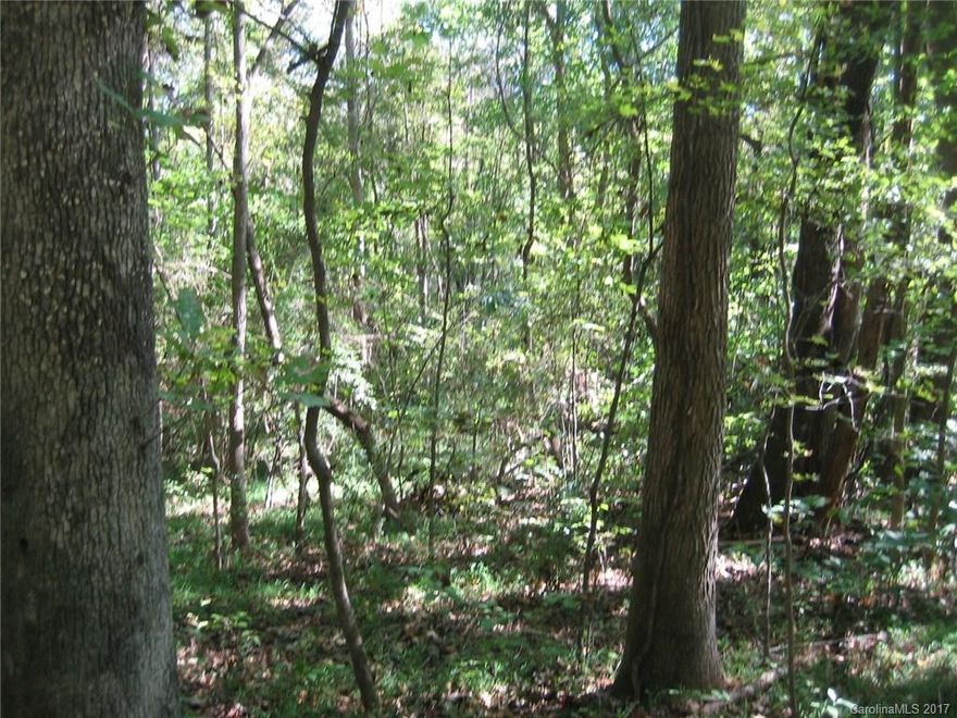 66+ acres of beautifully wooded land on the bank of Turkey Creek in York County. Abundant wildlife including deer, turkey and other small game. Full of mature timber. Ideal for a private homestead, multi-generational estate, or subdivision development. Convenient to York County cities and shopping and less than an hour from the Charlotte Metro Area.