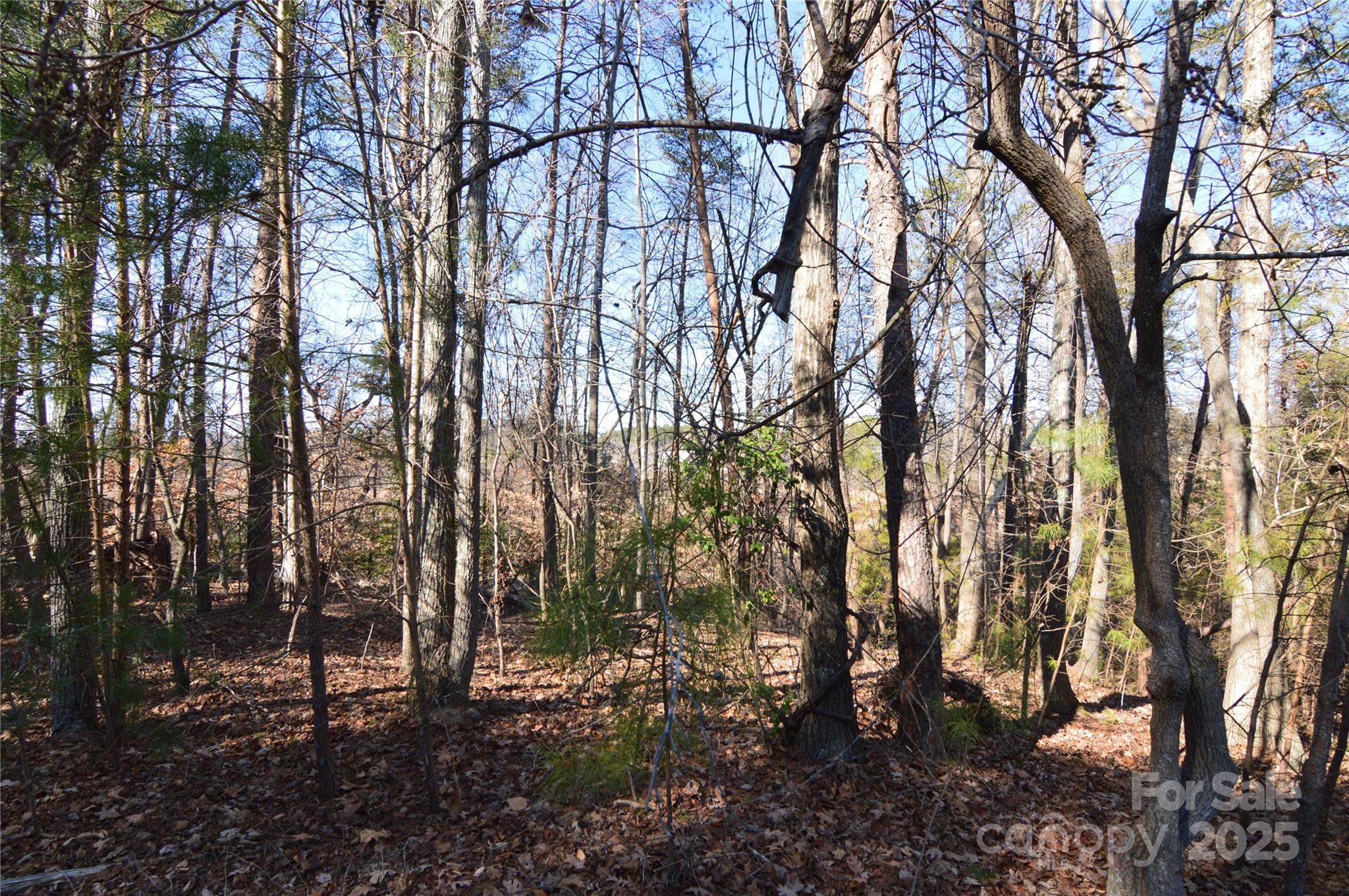 Reflection Pointe - Land