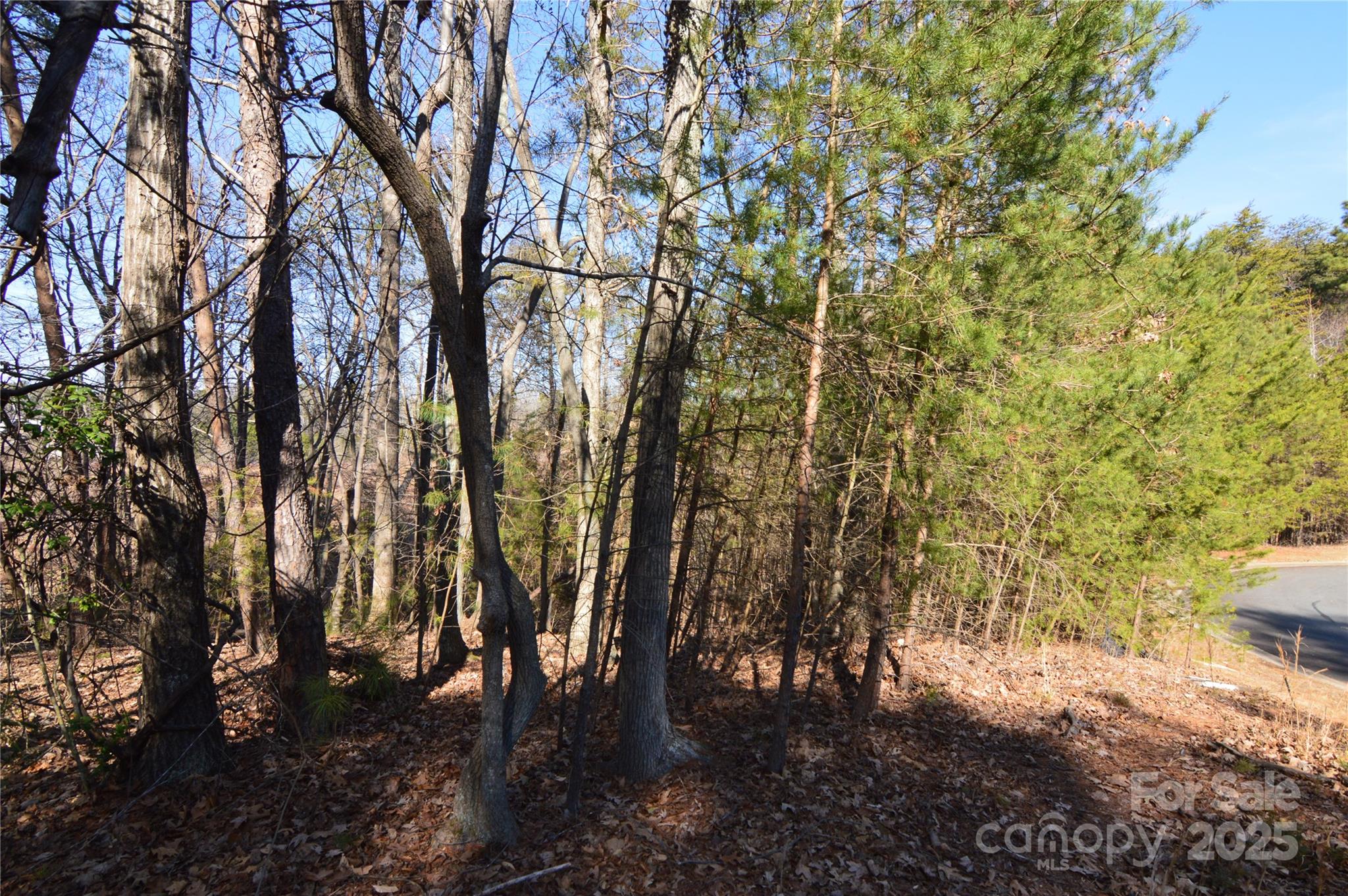 Reflection Pointe - Land