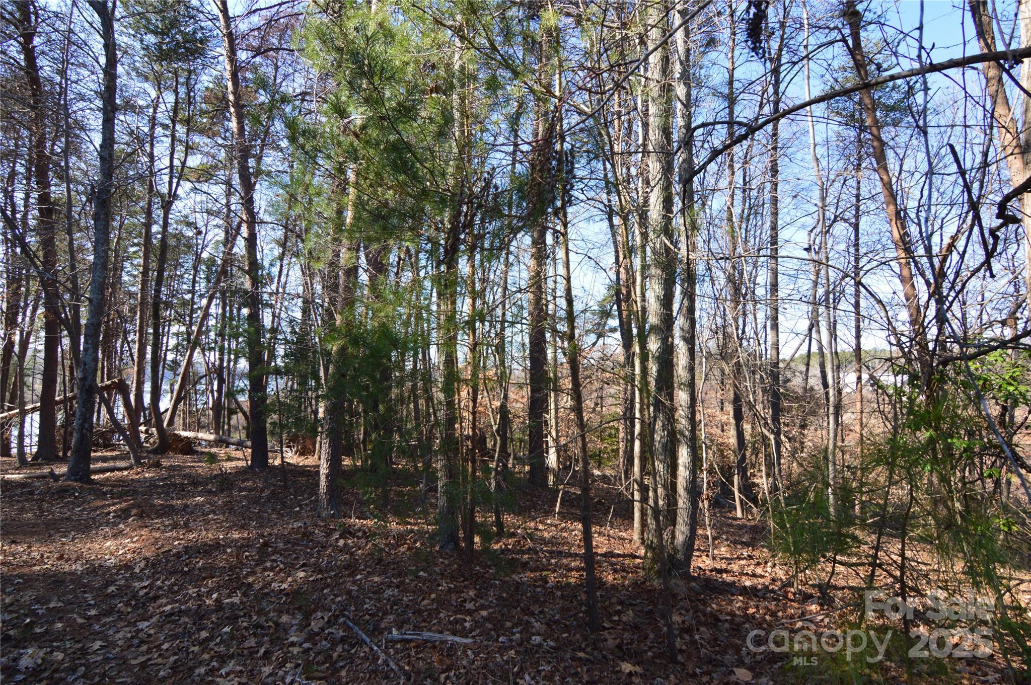 Reflection Pointe - Land