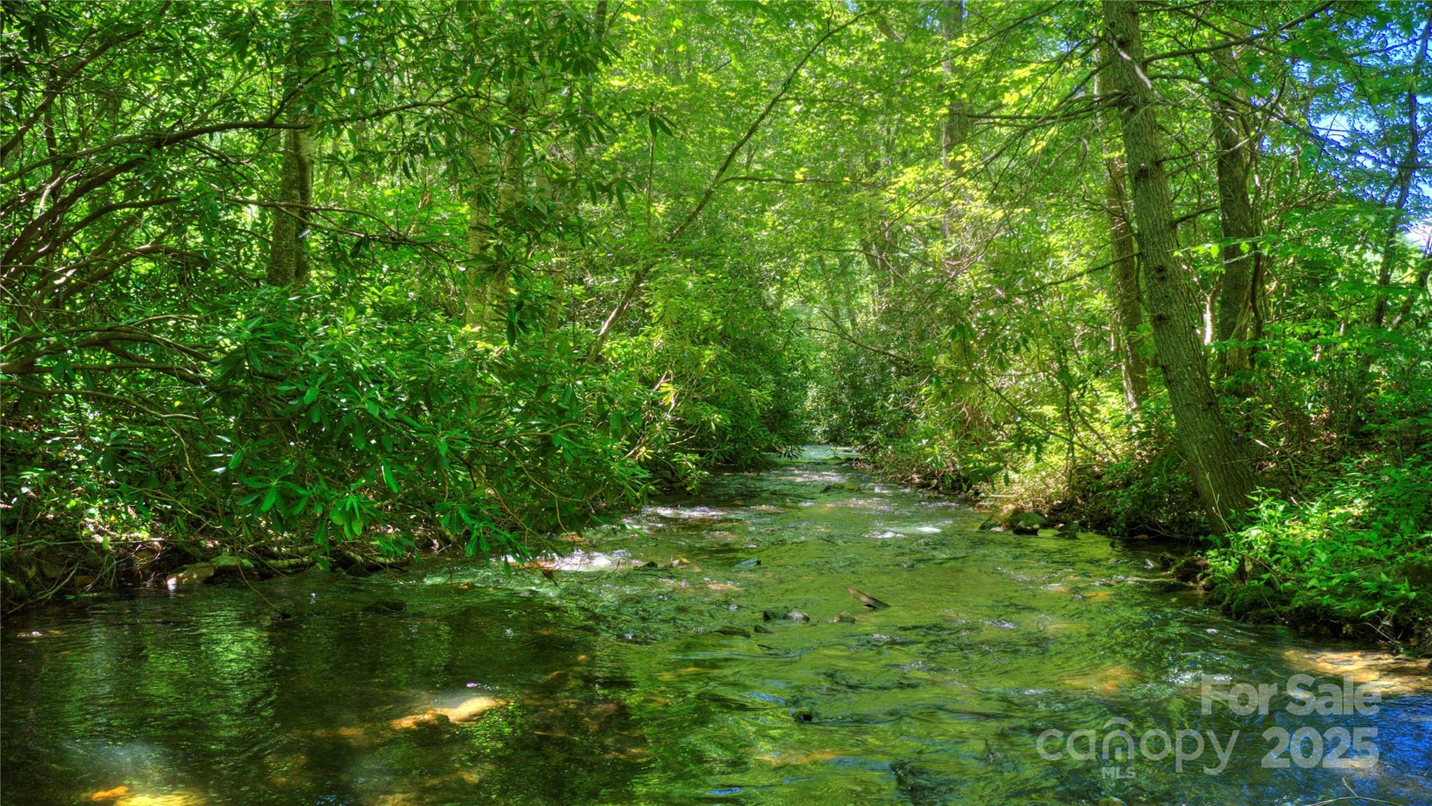 Mountain Brook Estates - Land