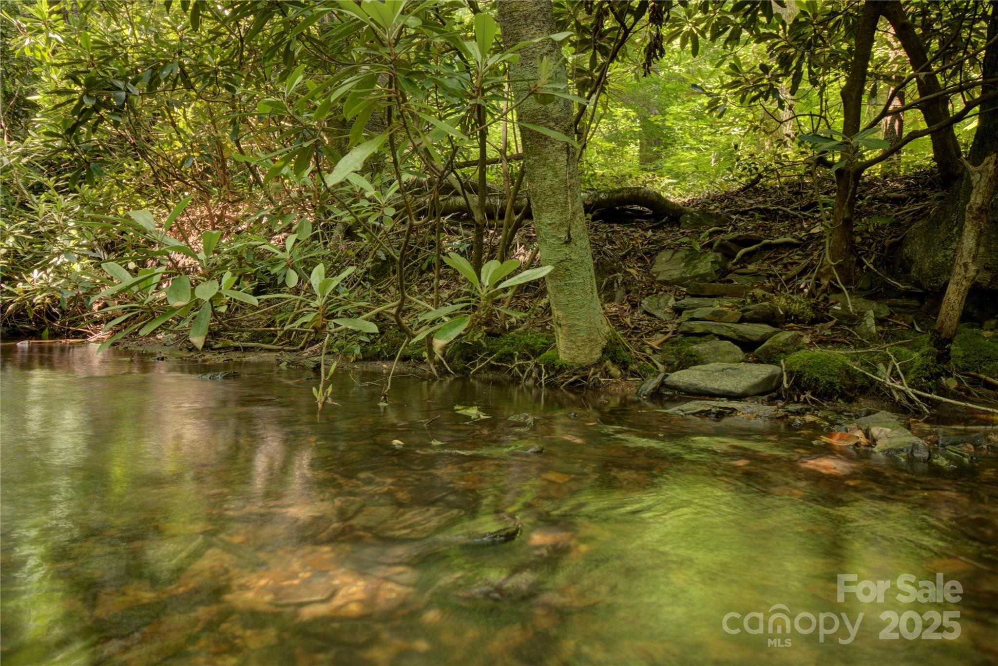 Mountain Brook Estates - Land