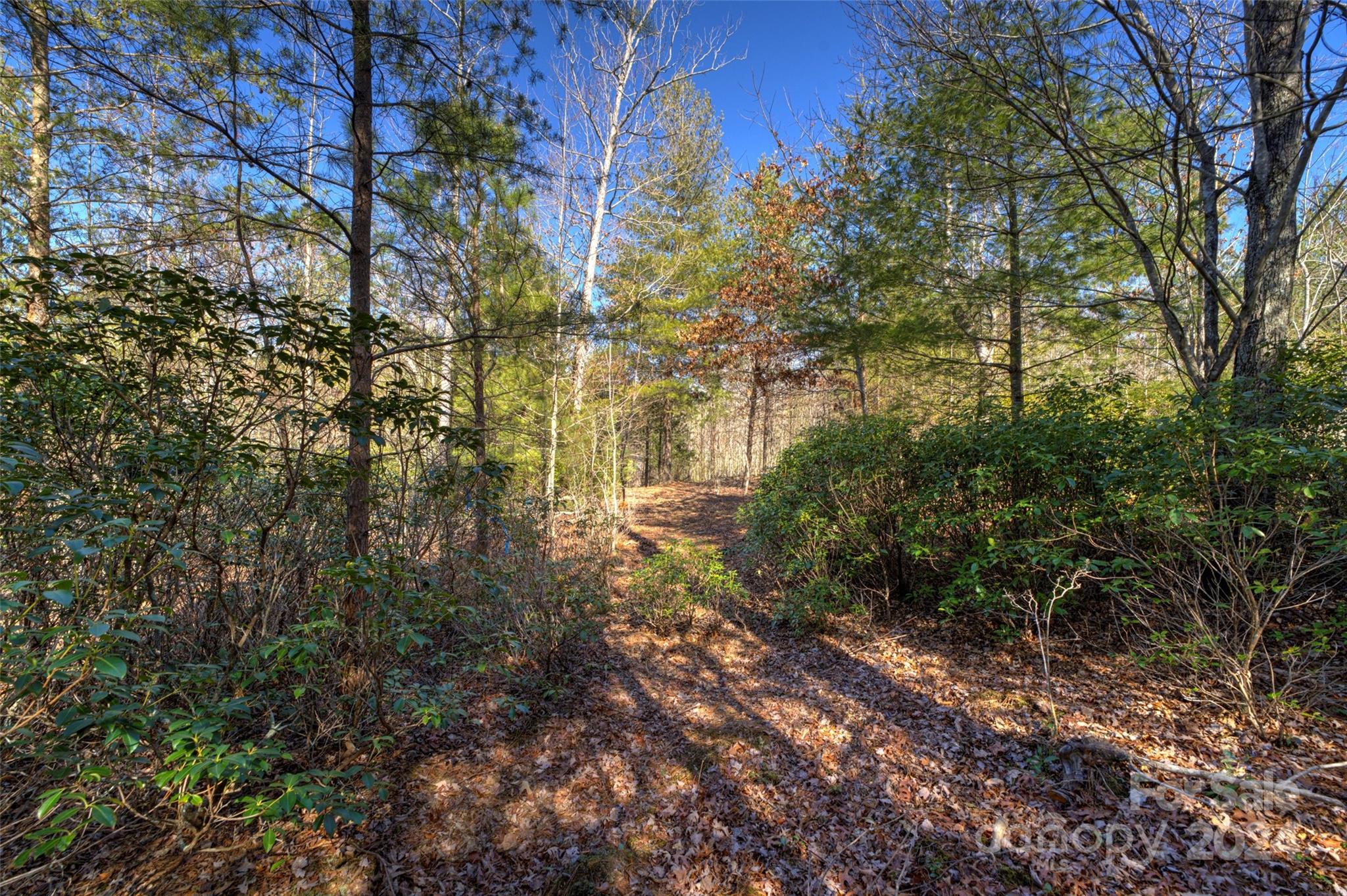 The Peninsula at Lake James - Land