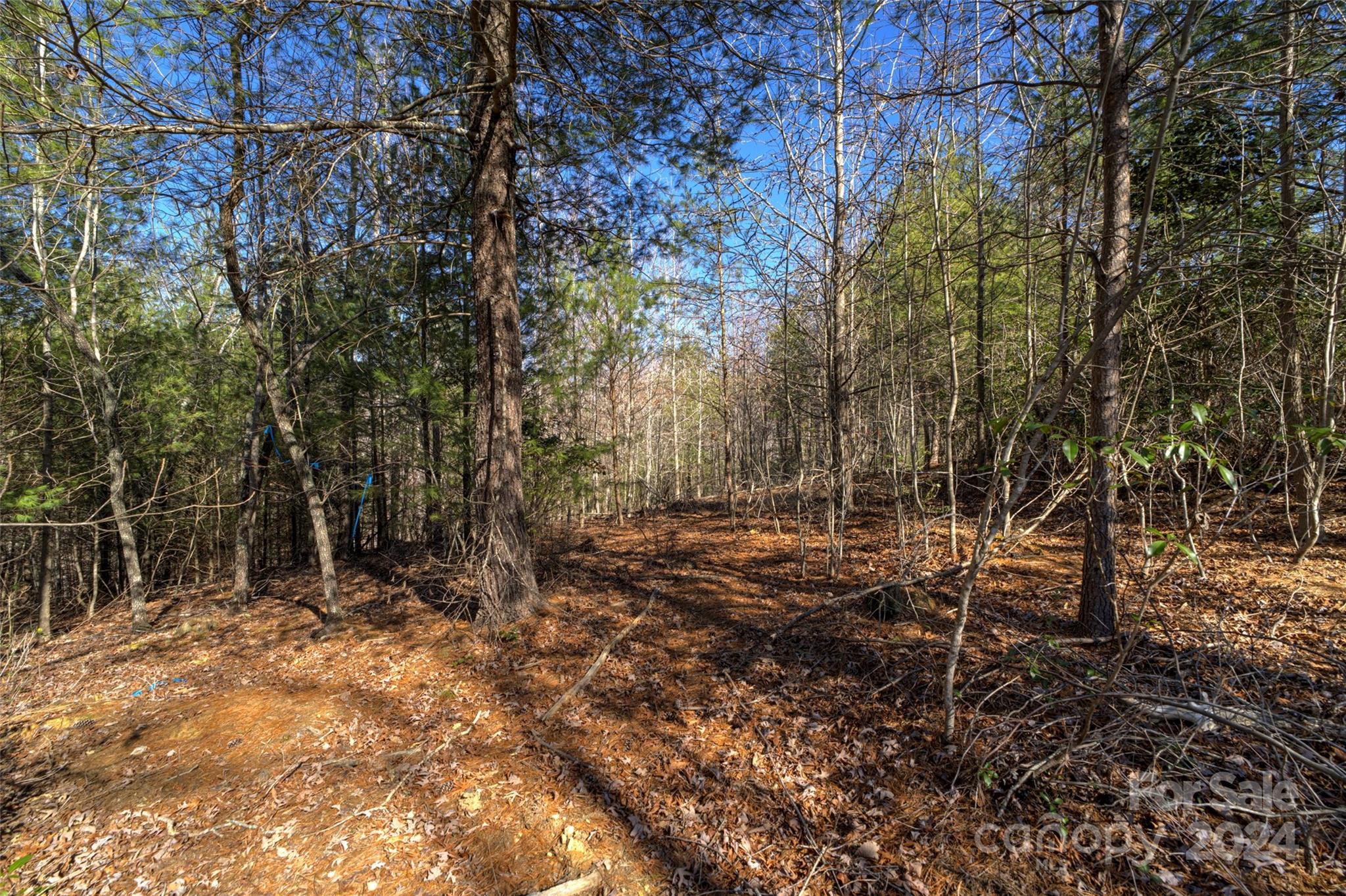 The Peninsula at Lake James - Land
