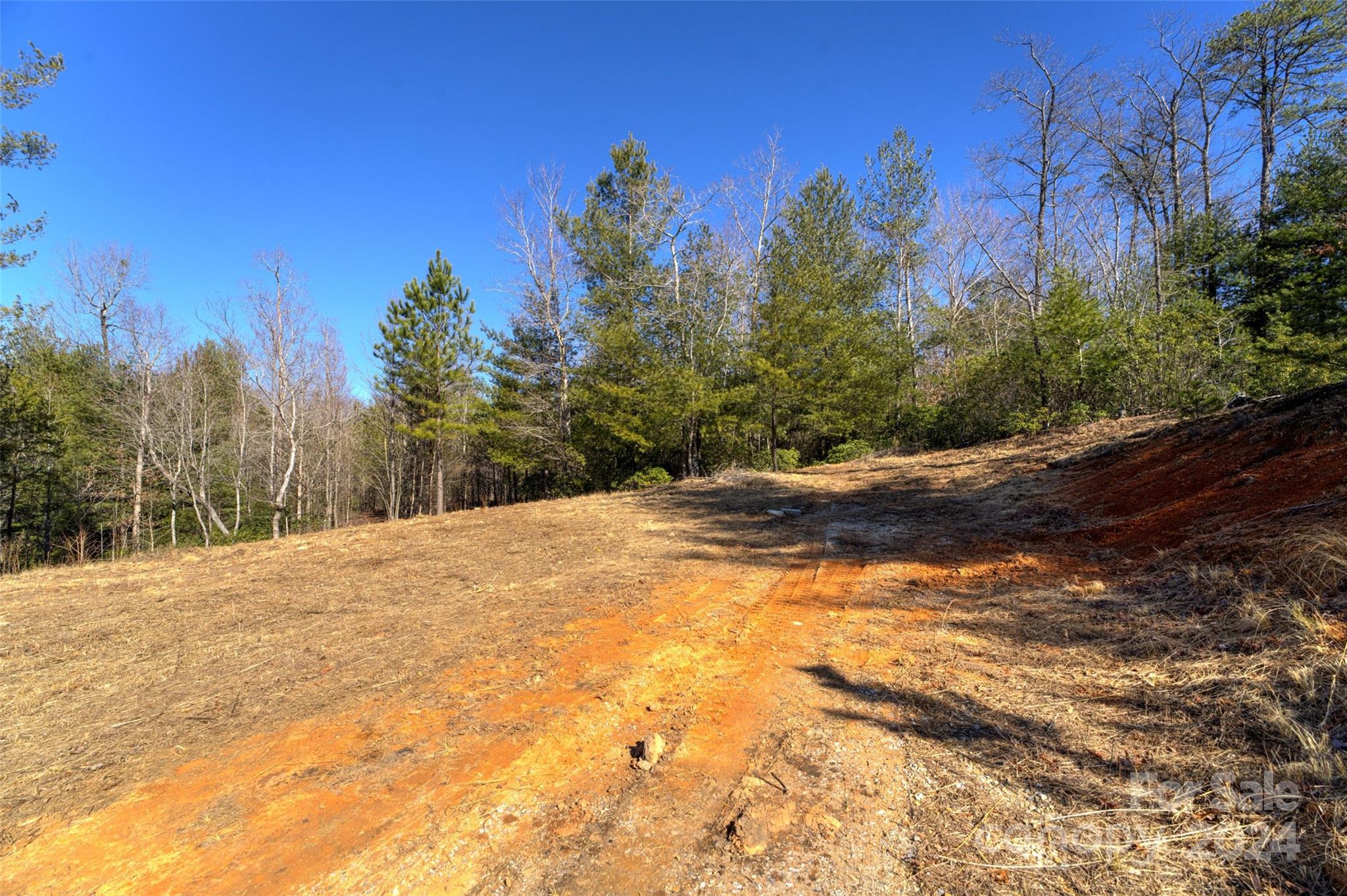 The Peninsula at Lake James - Land