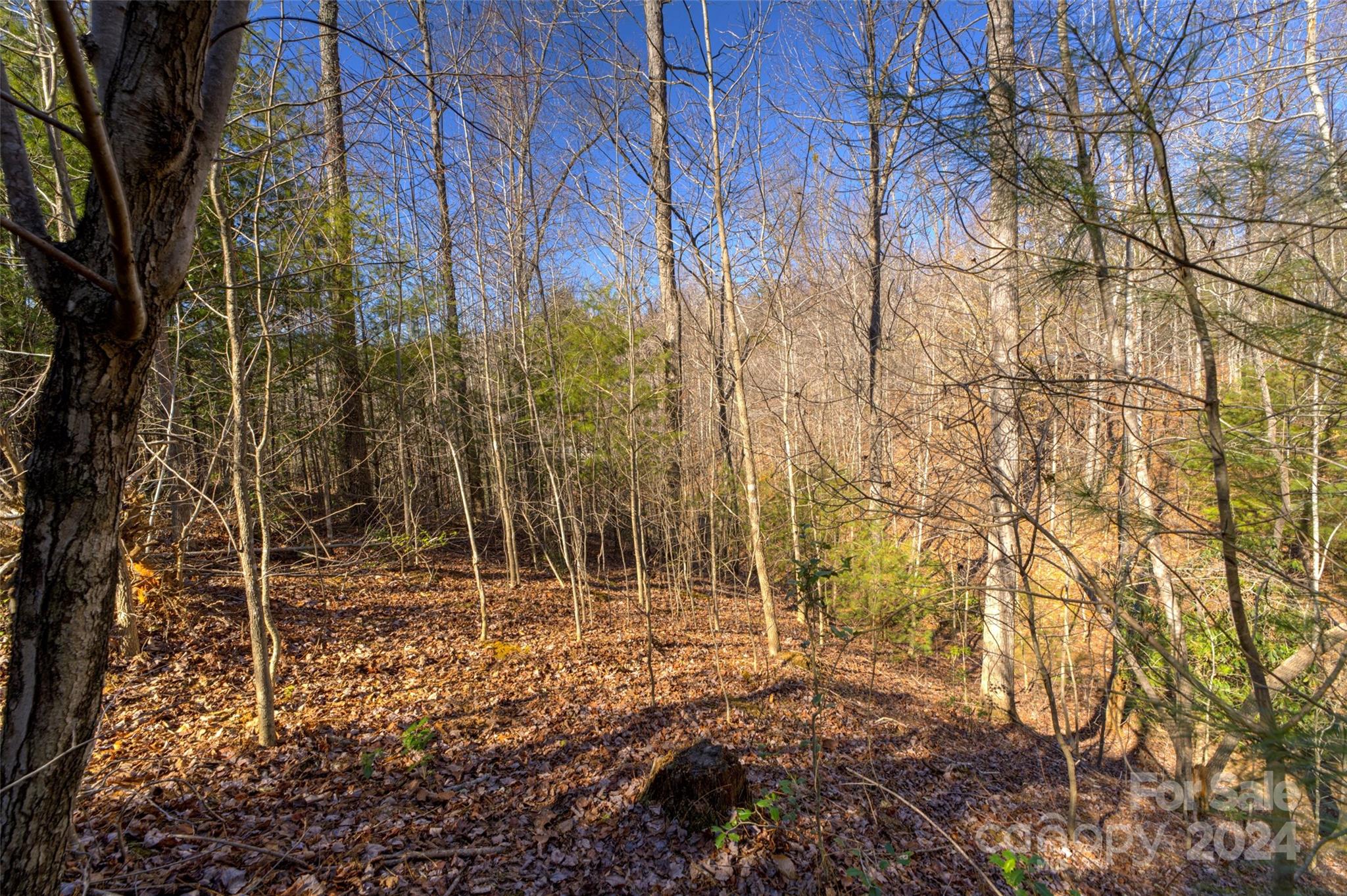The Peninsula at Lake James - Land
