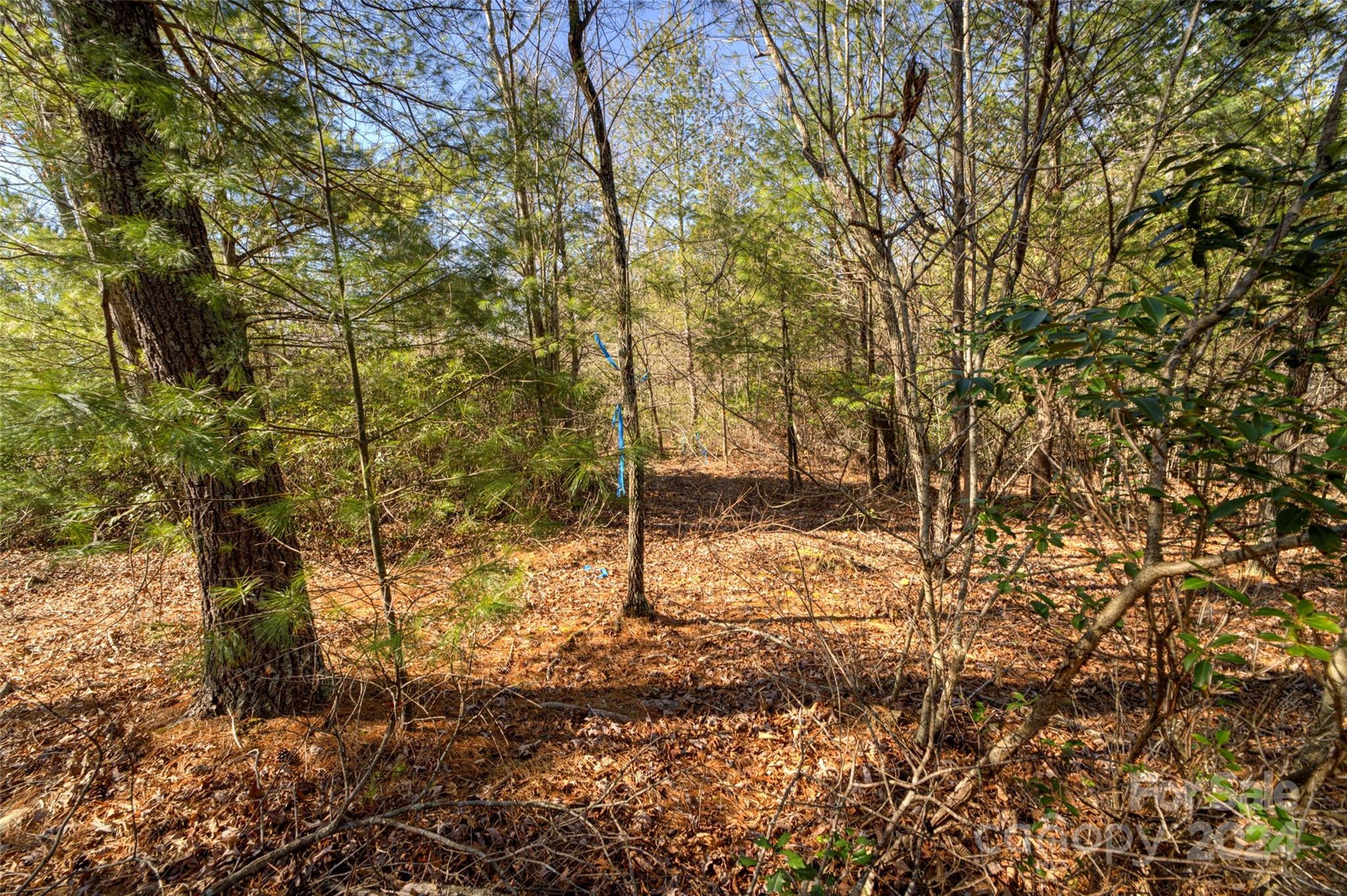The Peninsula at Lake James - Land