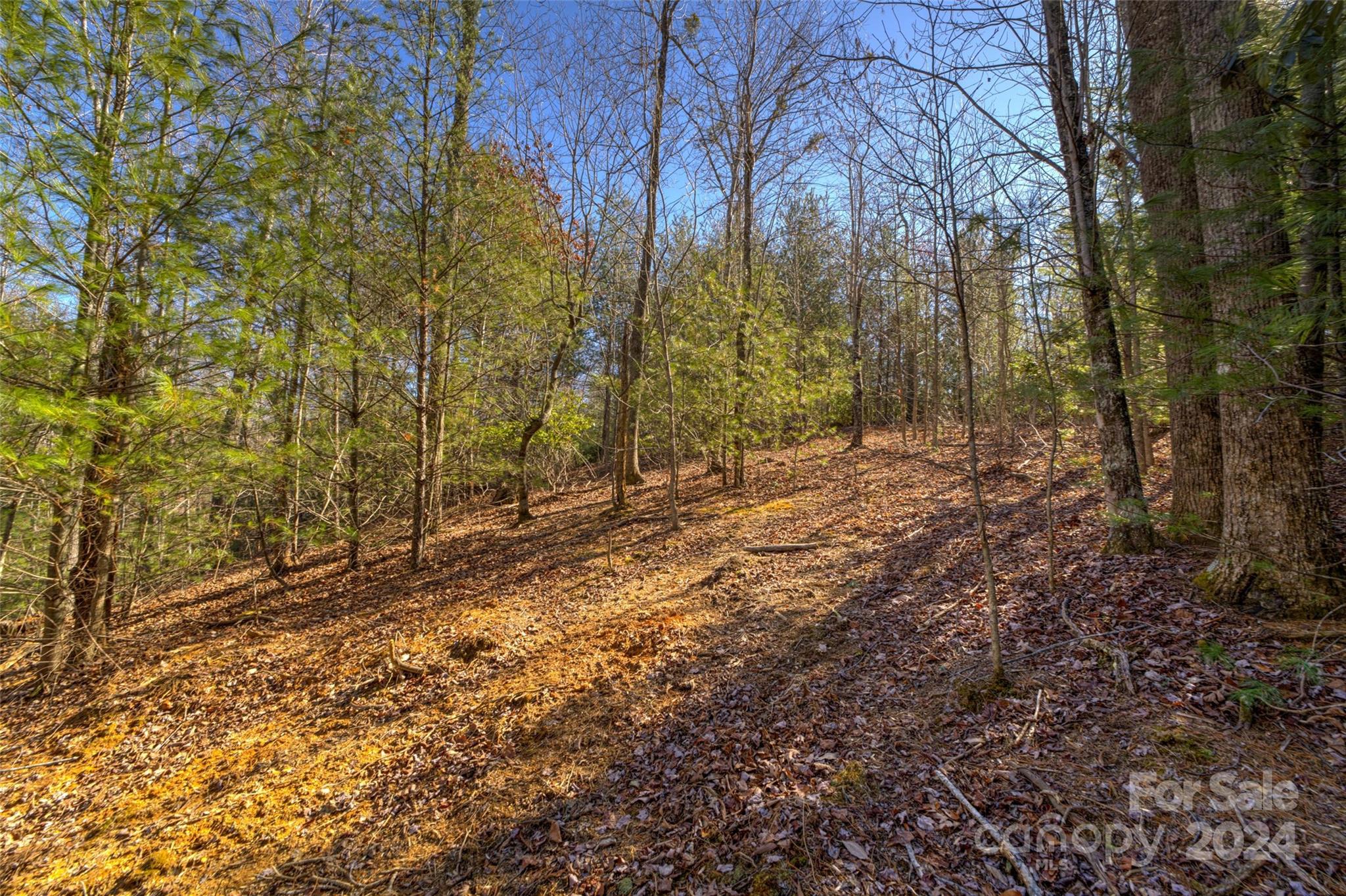 The Peninsula at Lake James - Land