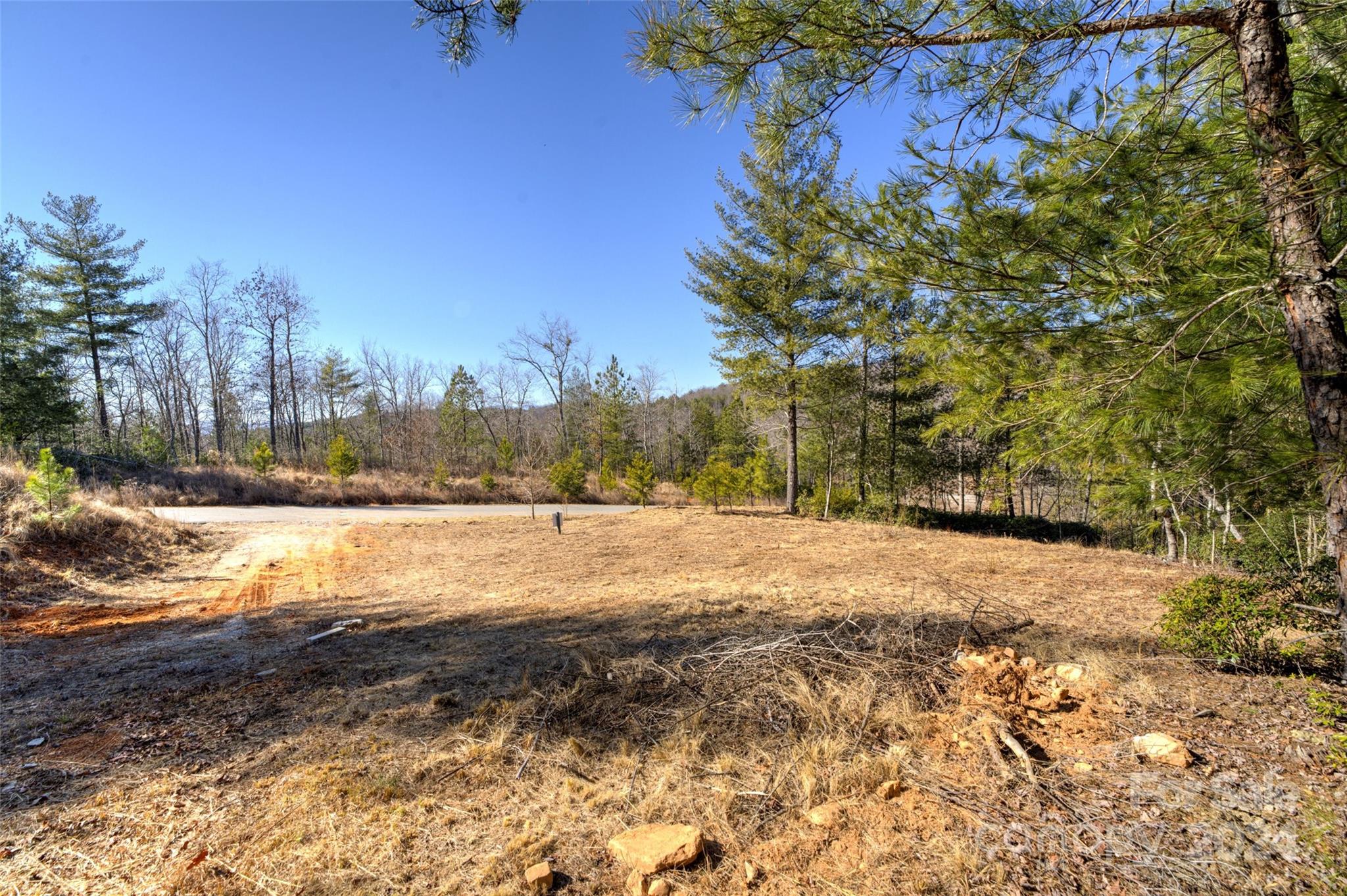 The Peninsula at Lake James - Land