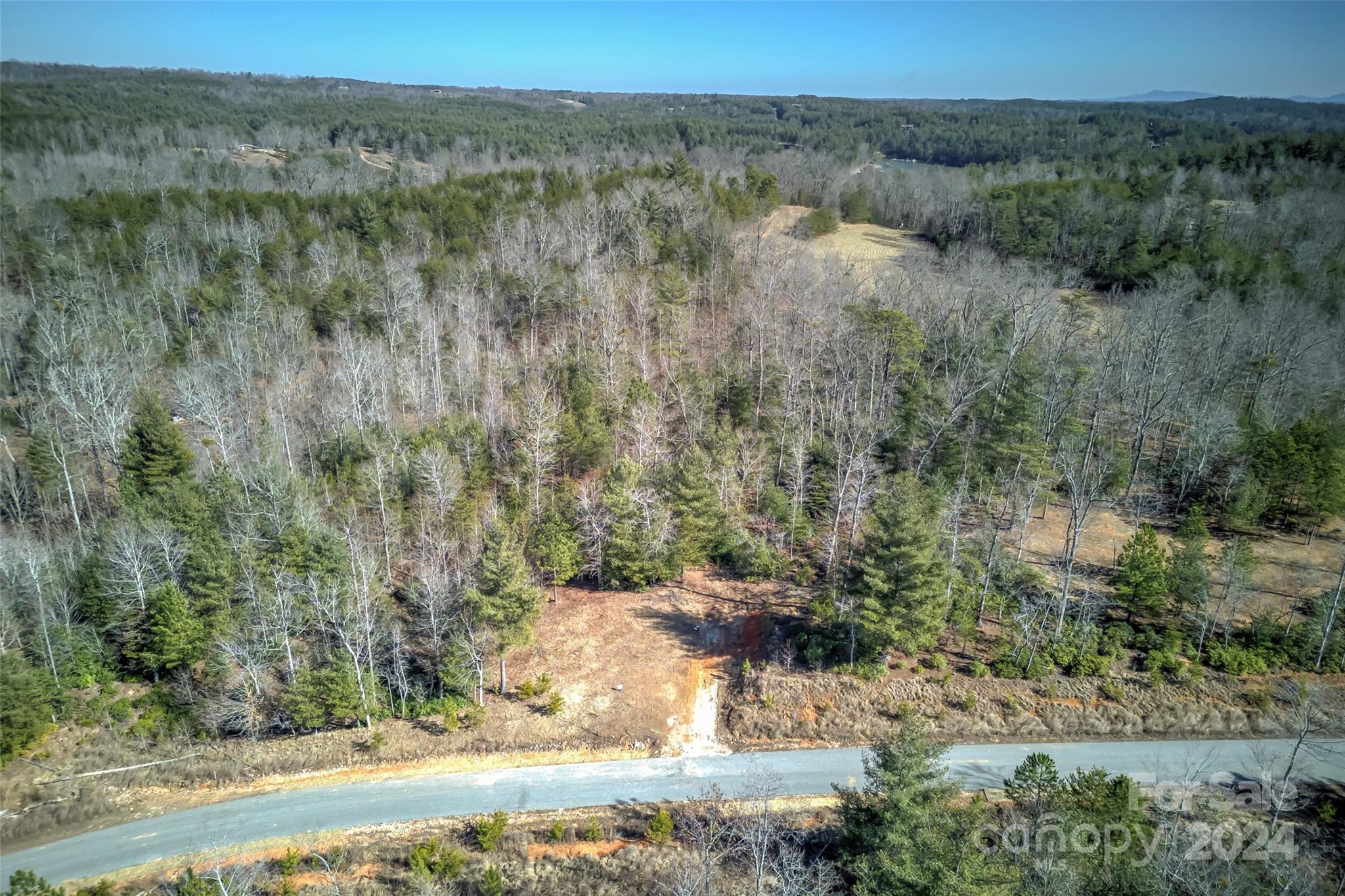 The Peninsula at Lake James - Land