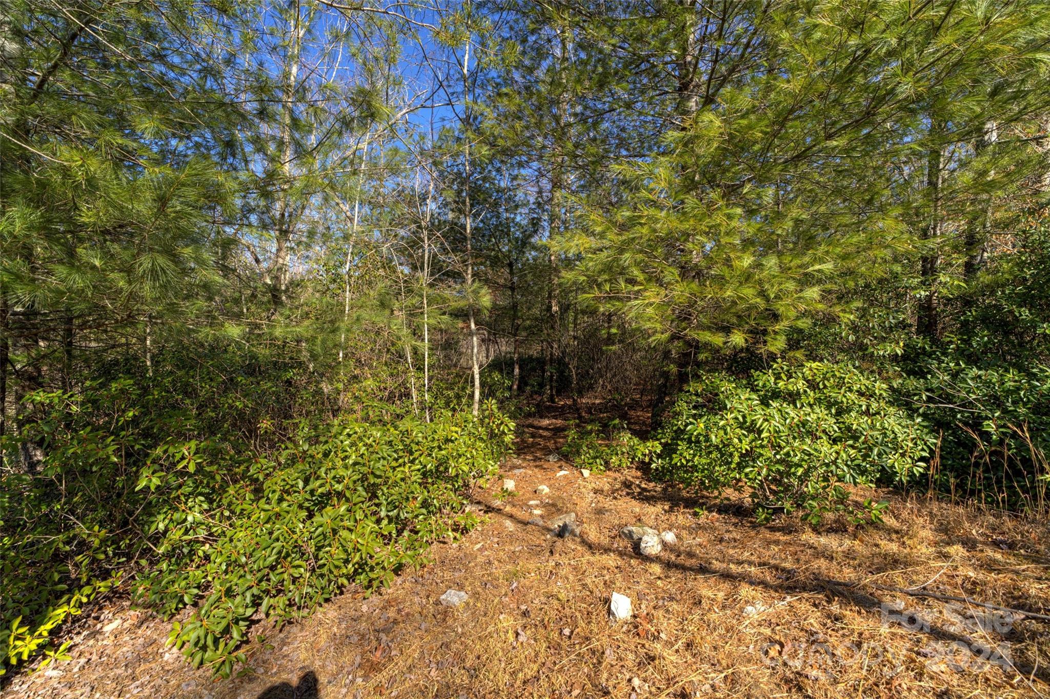 The Peninsula at Lake James - Land