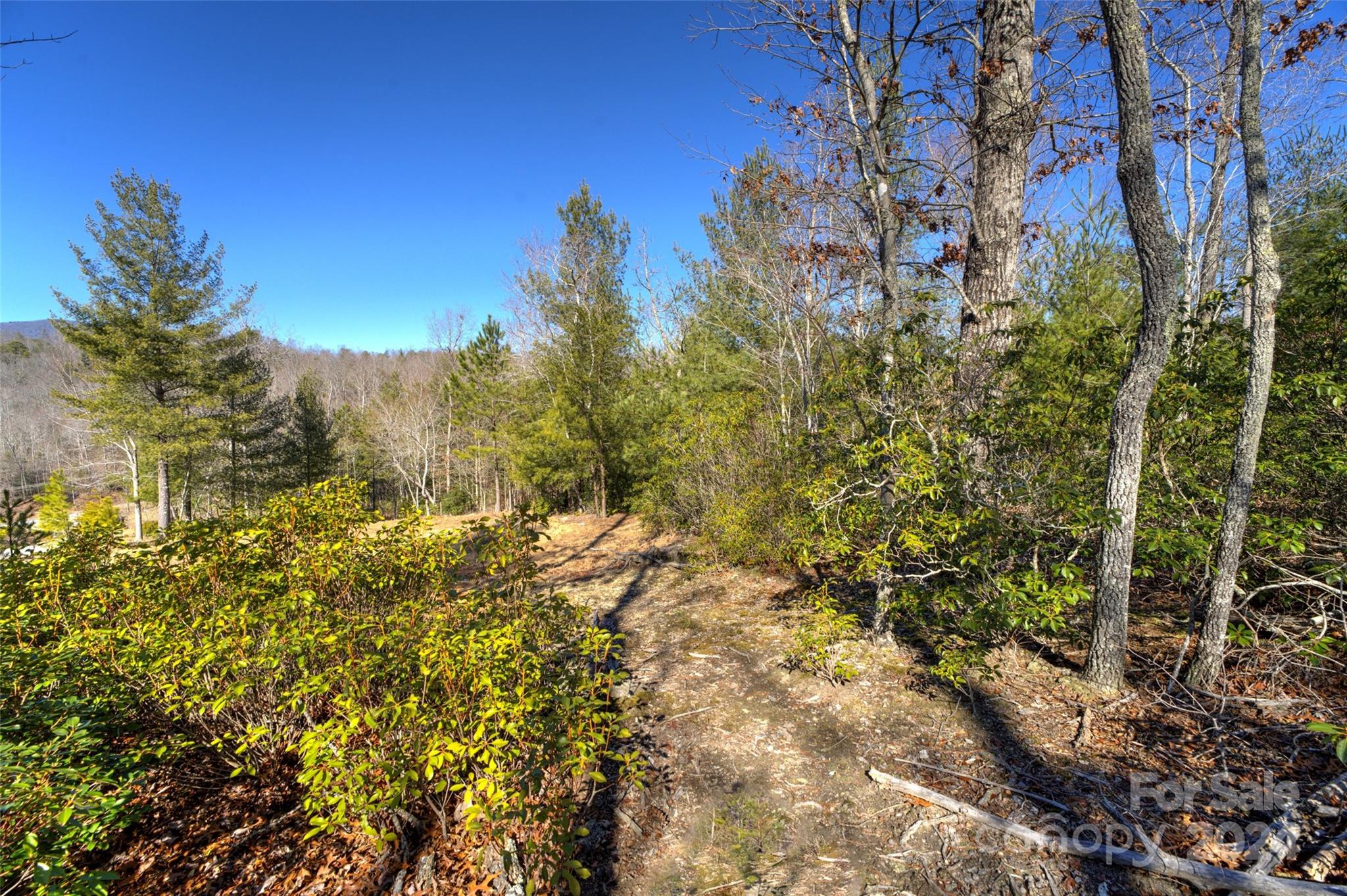The Peninsula at Lake James - Land