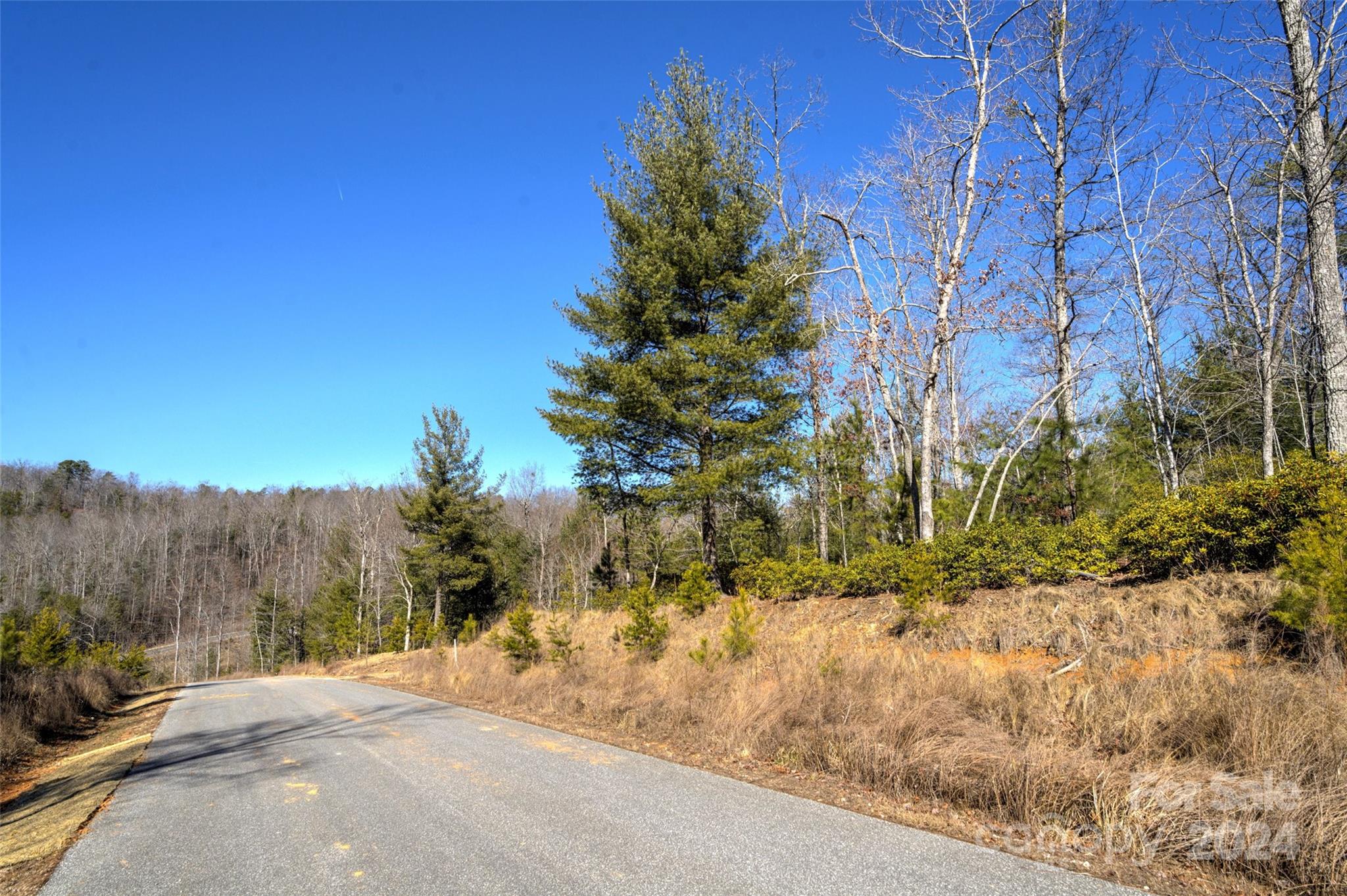 The Peninsula at Lake James - Land