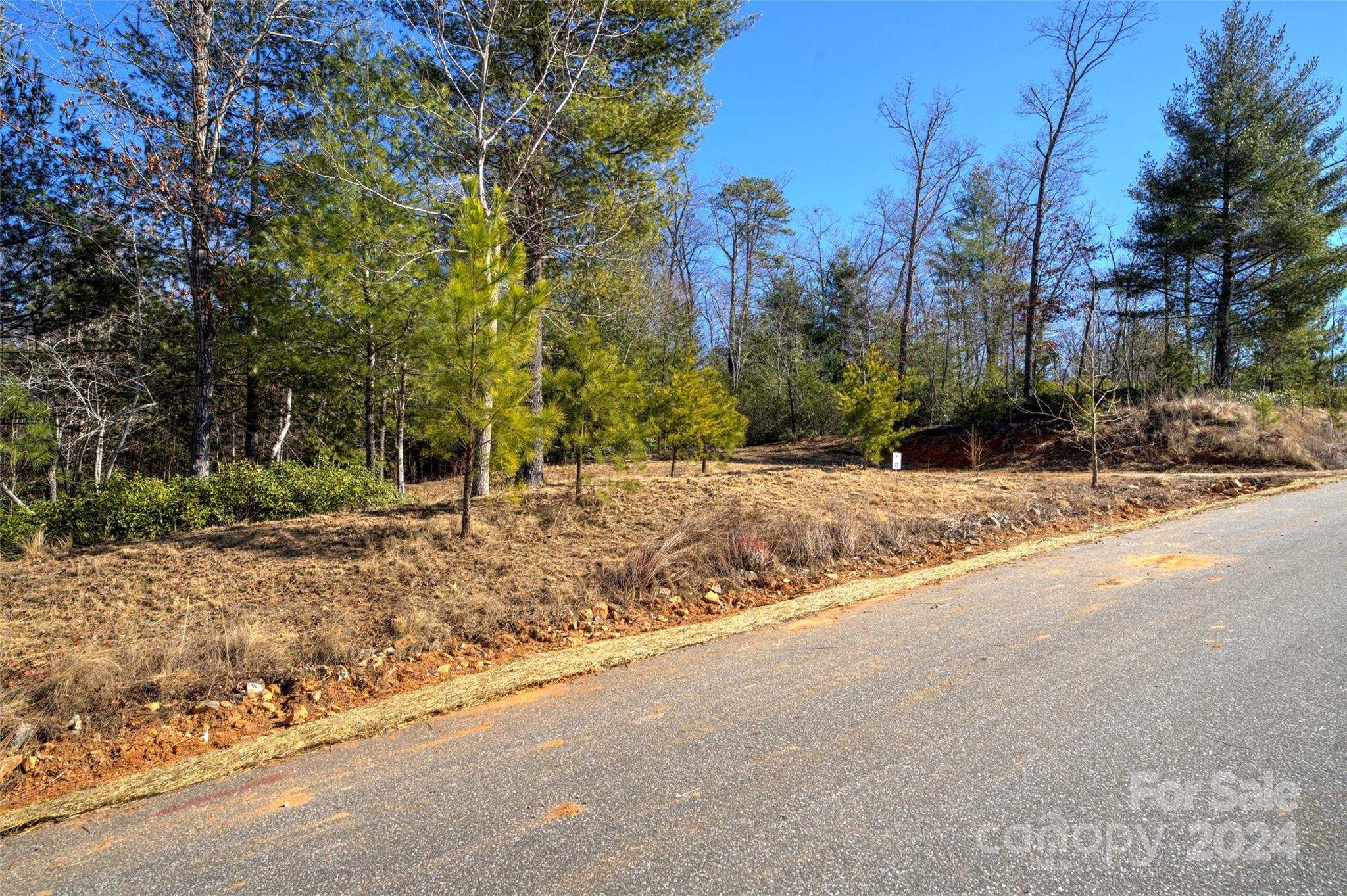 The Peninsula at Lake James - Land