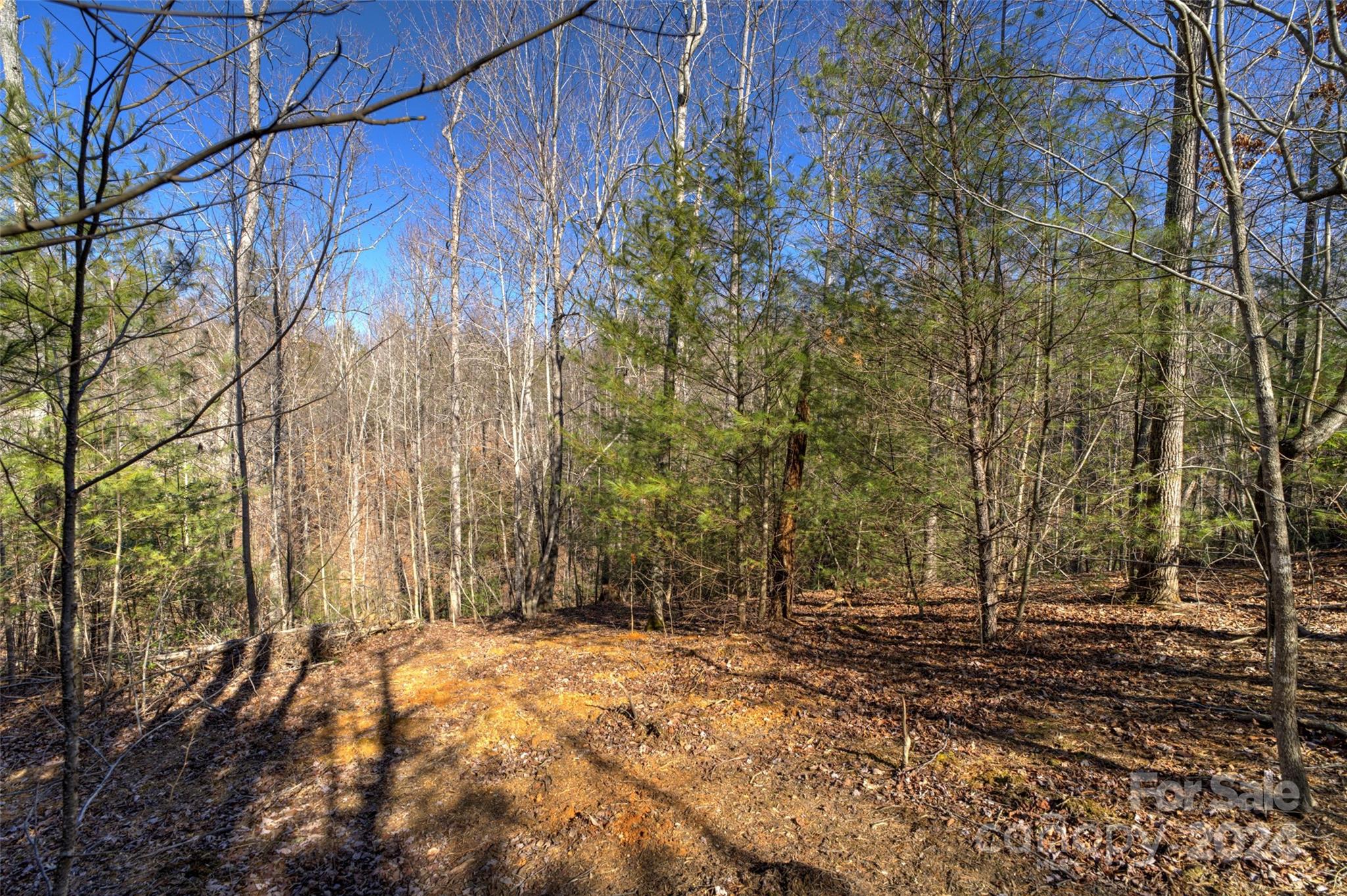 The Peninsula at Lake James - Land