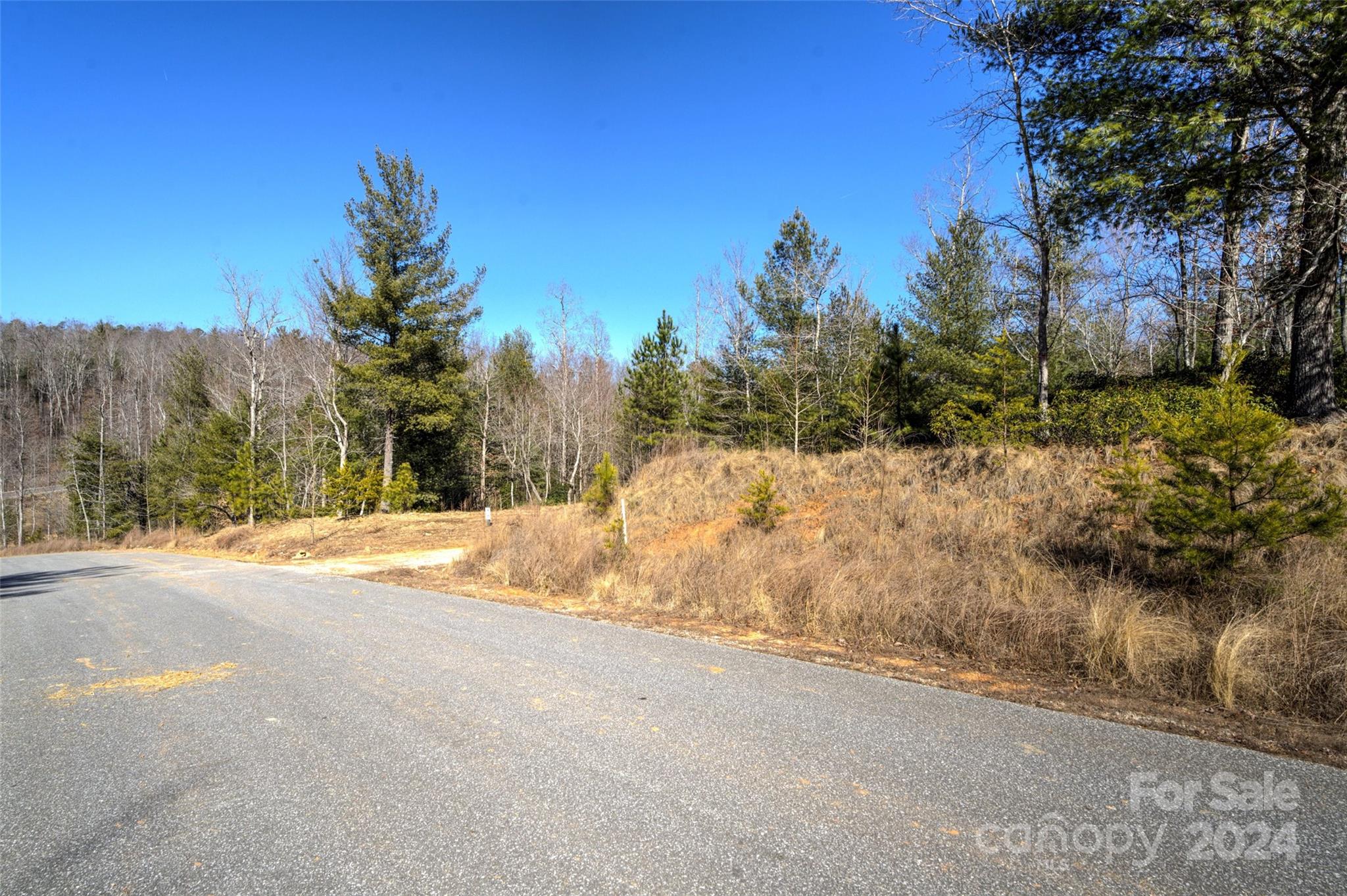 The Peninsula at Lake James - Land