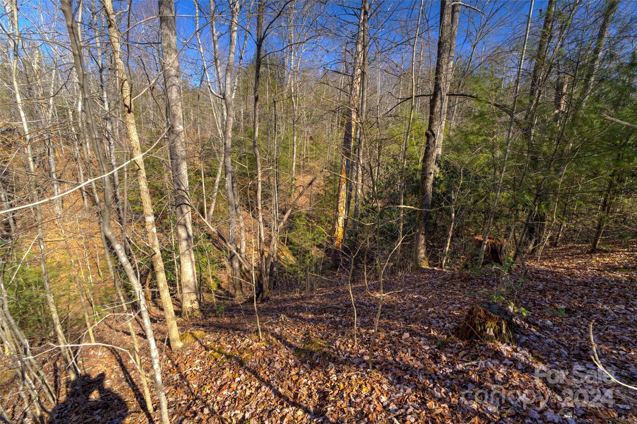 The Peninsula at Lake James - Land