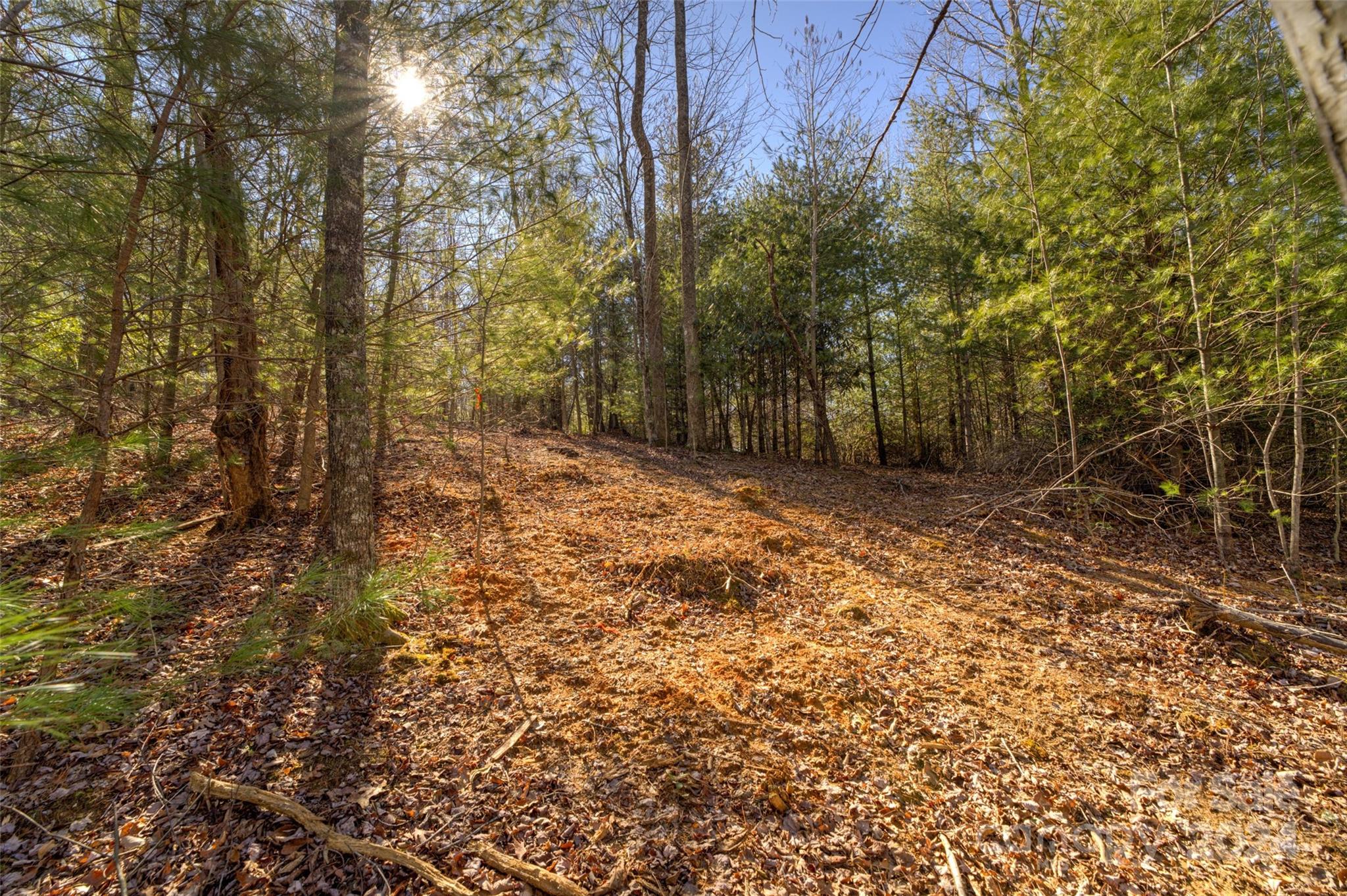 The Peninsula at Lake James - Land