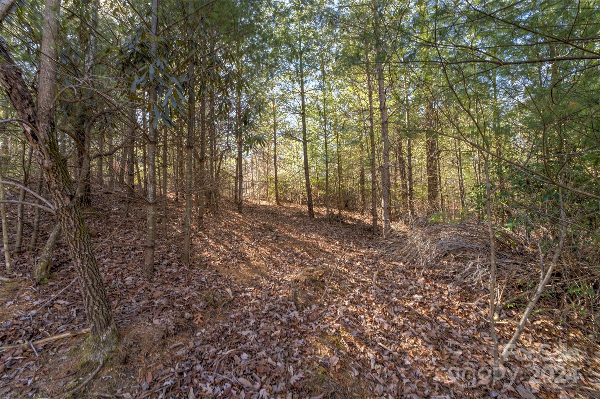 The Peninsula at Lake James - Land