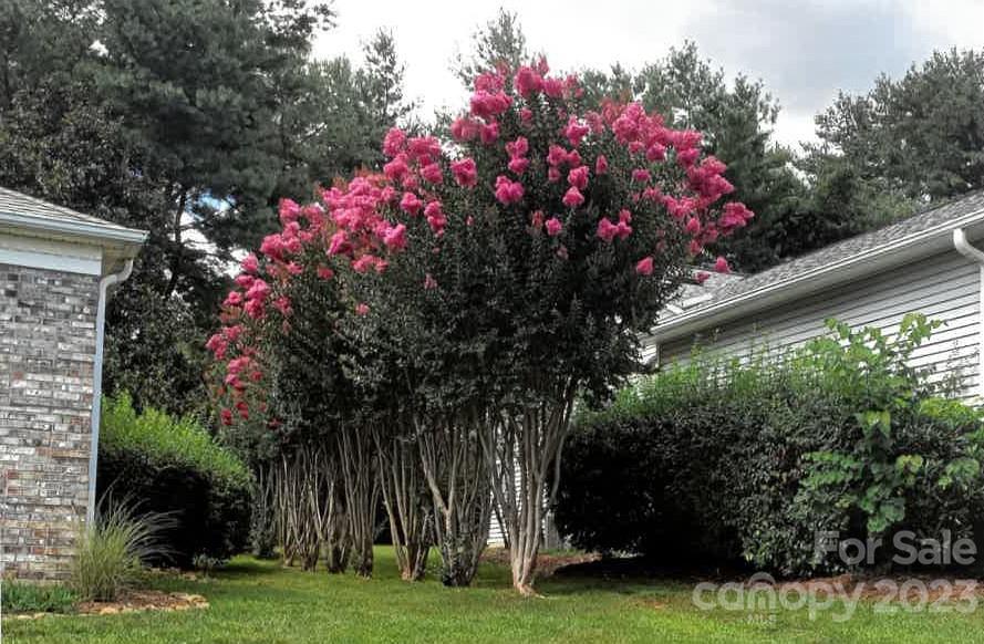 Park Avenue - Residential