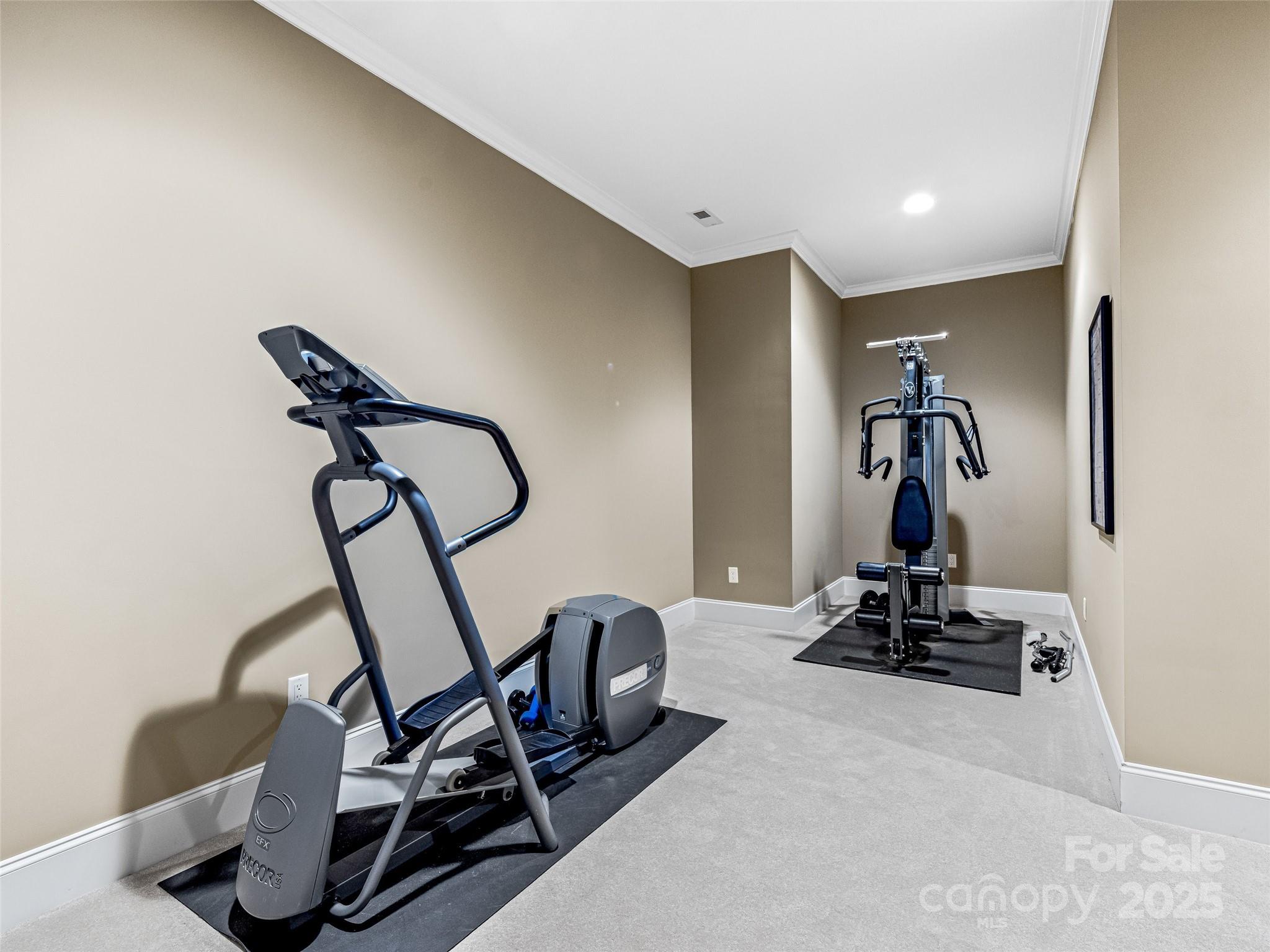 Homestead at Mills River - Residential